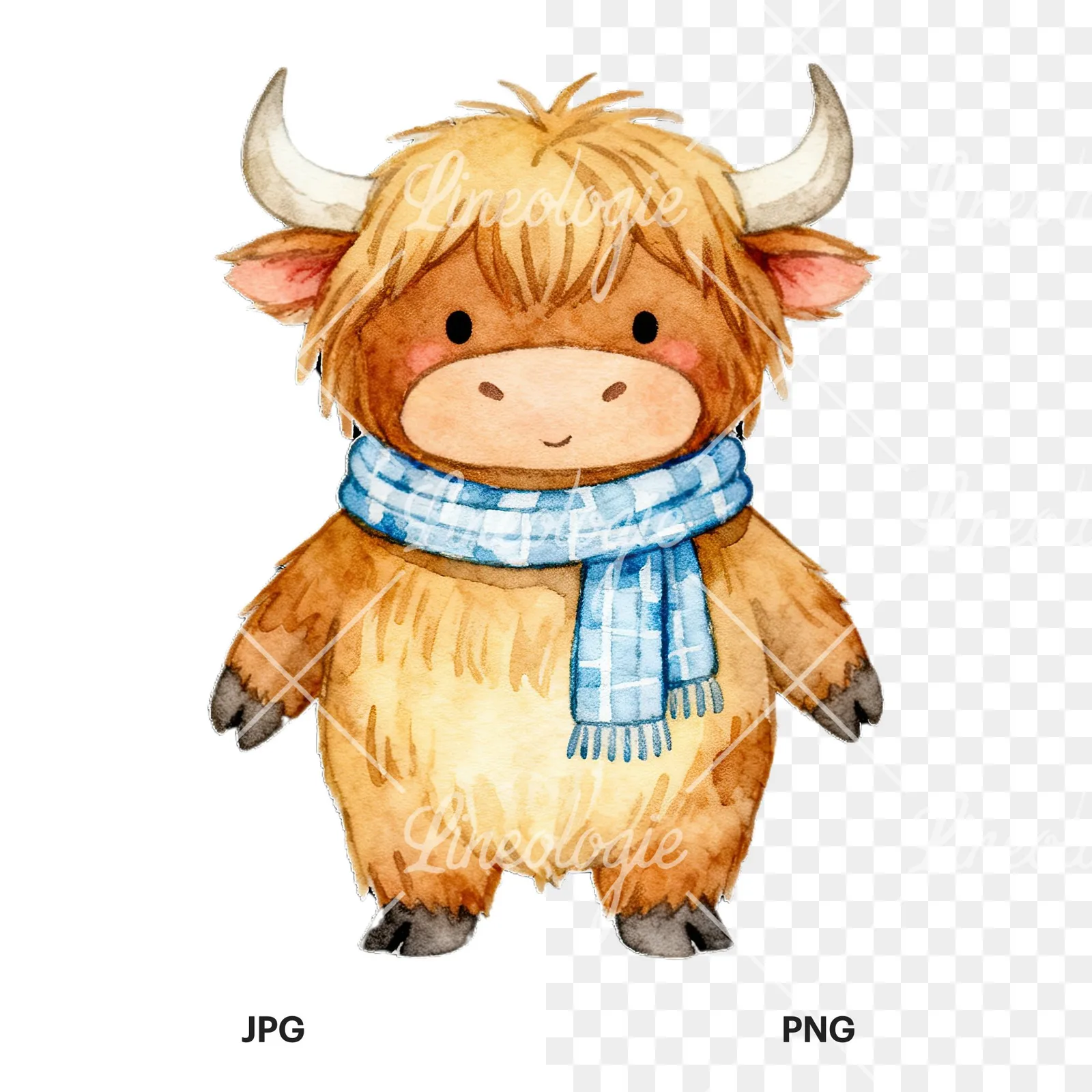 Watercolor highland cow clipart 7 of 9, as a JPG on white and a transparent PNG