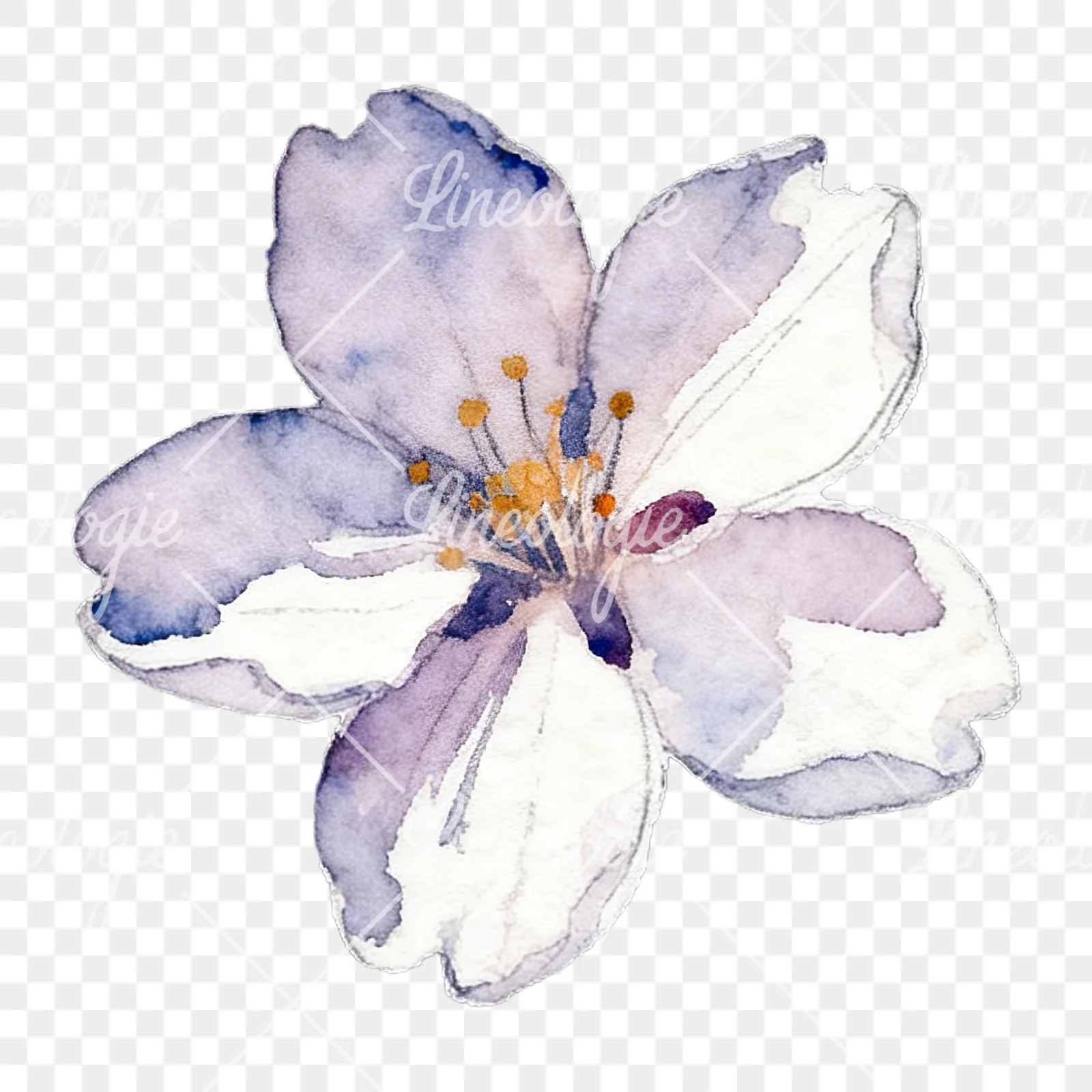 Watercolor purple pink white cherry blossoms clipart 8 of 12 on a transparent background (PNG)