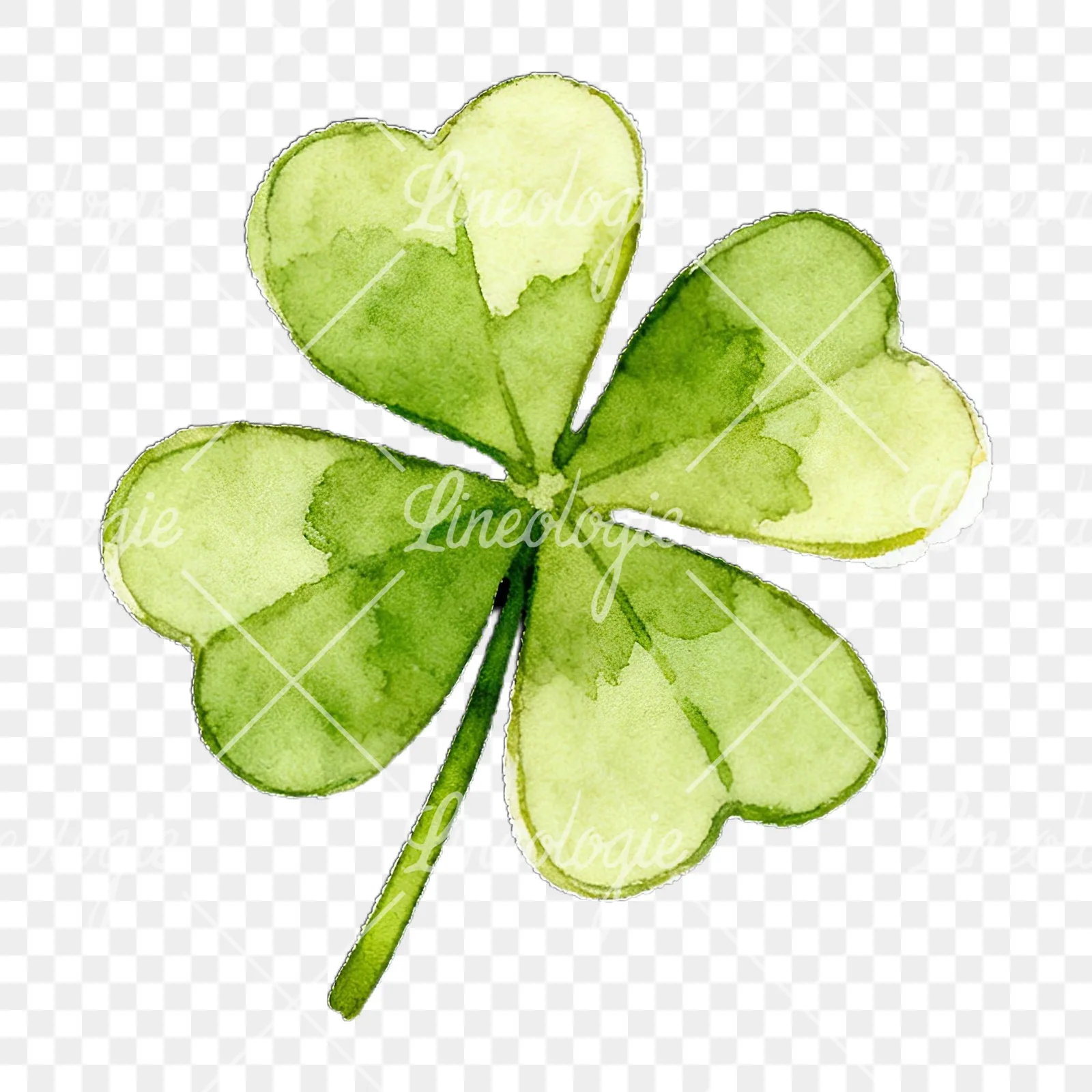 Watercolor textured clover flower clipart 1 of 12 on a transparent background (PNG)