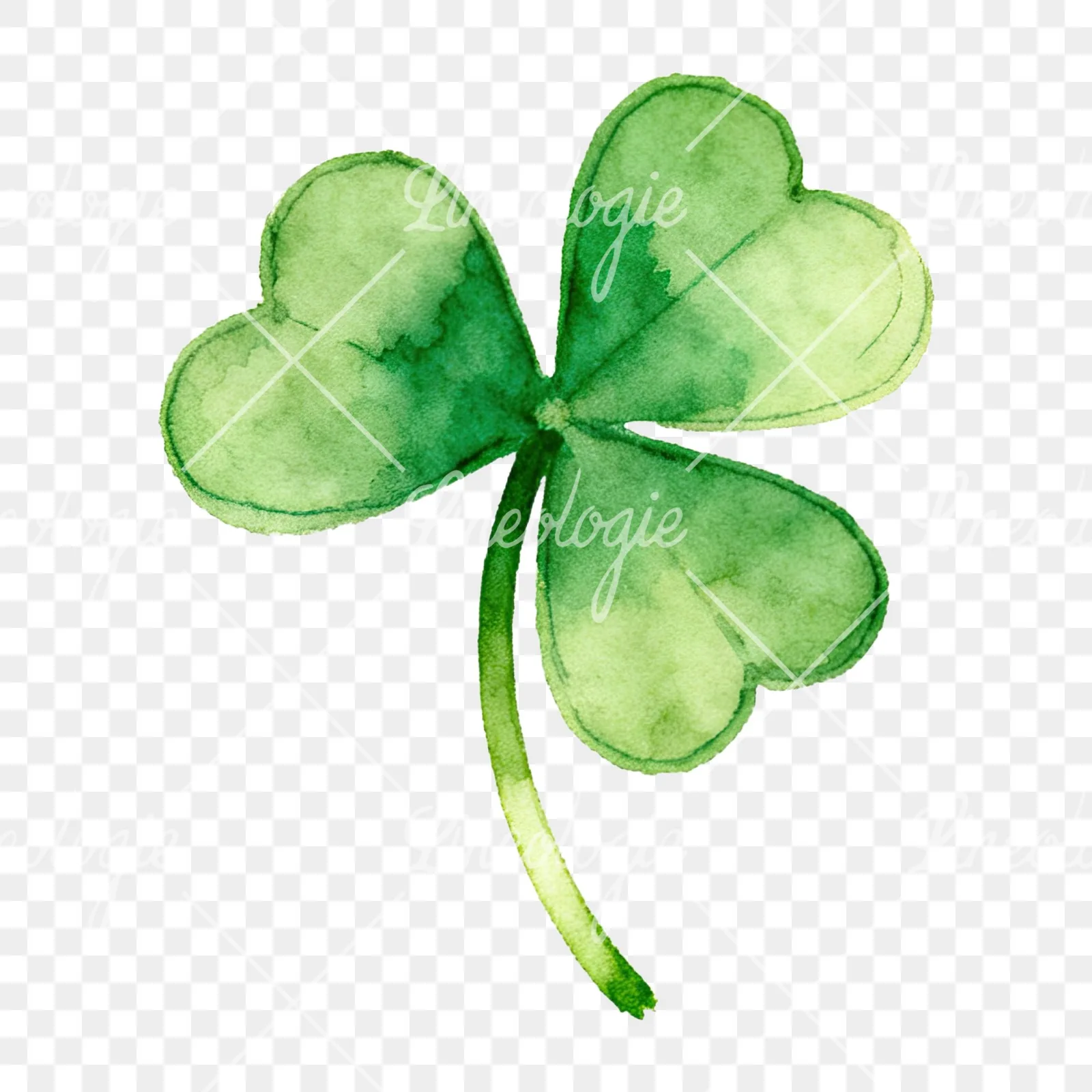 Watercolor textured clover flower clipart 5 of 12 on a transparent background (PNG)