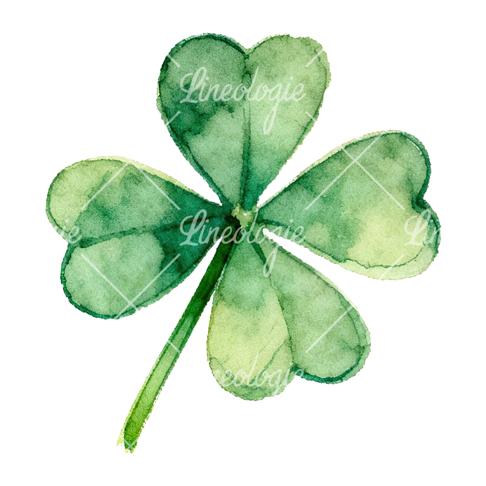 Watercolor textured clover flower clipart 7 of 12 on a white background (JPG)