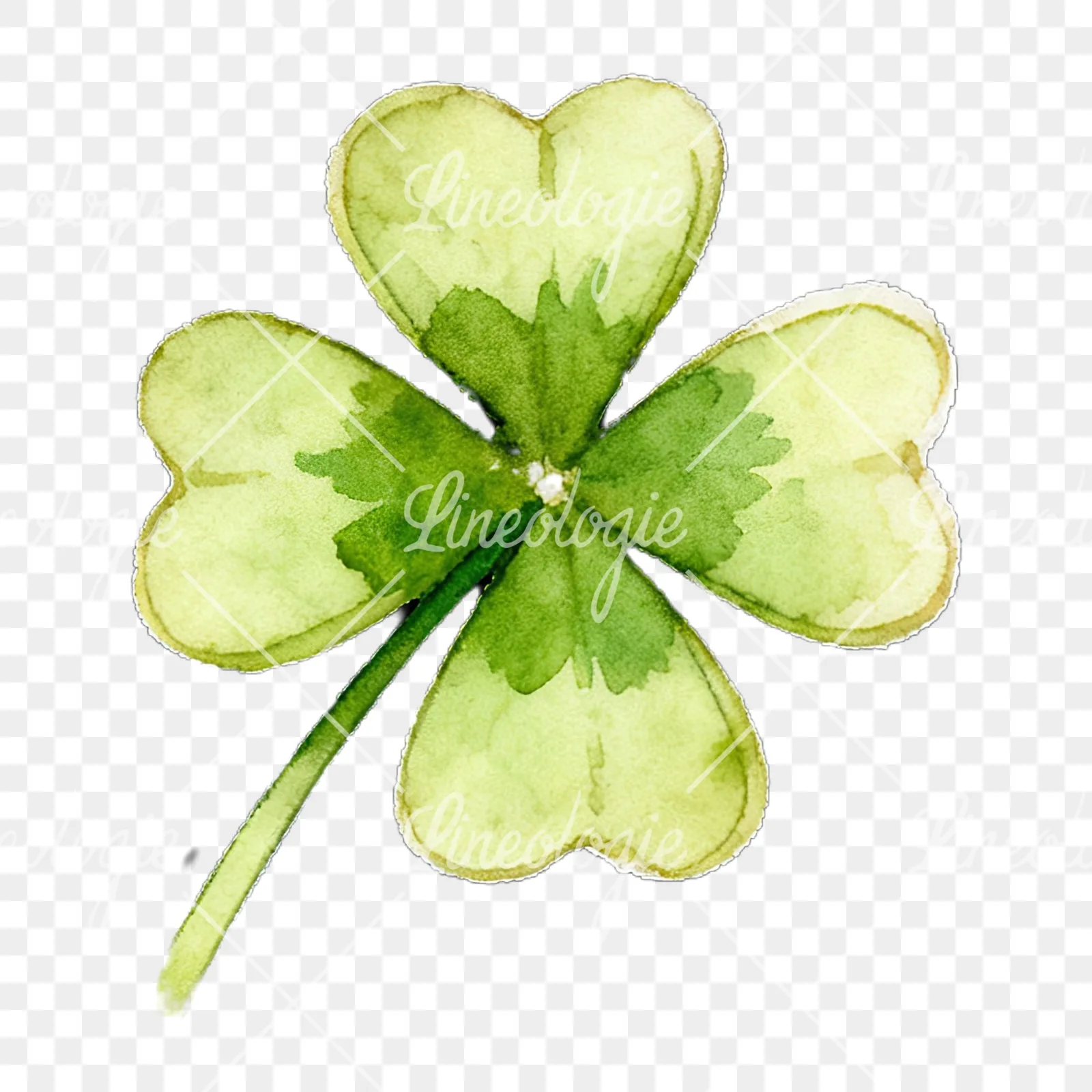 Watercolor textured clover flower clipart 8 of 12 on a transparent background (PNG)
