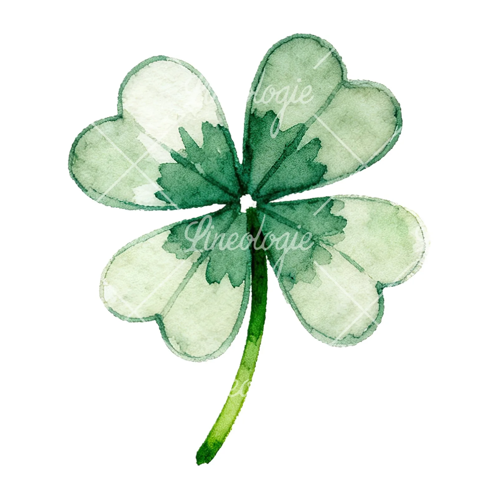 Watercolor textured clover flower clipart 9 of 12 on a white background (JPG)