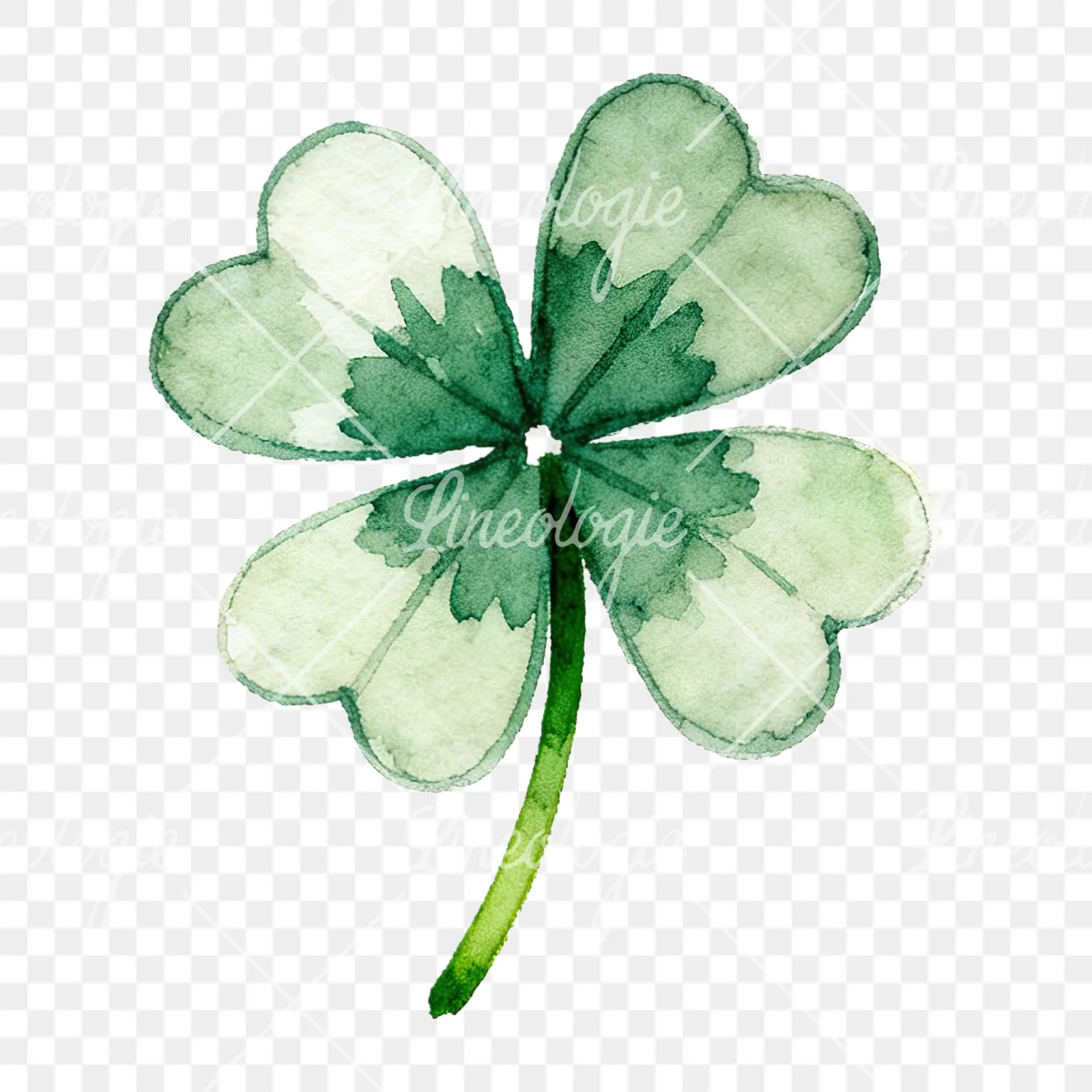 Watercolor textured clover flower clipart 9 of 12 on a transparent background (PNG)