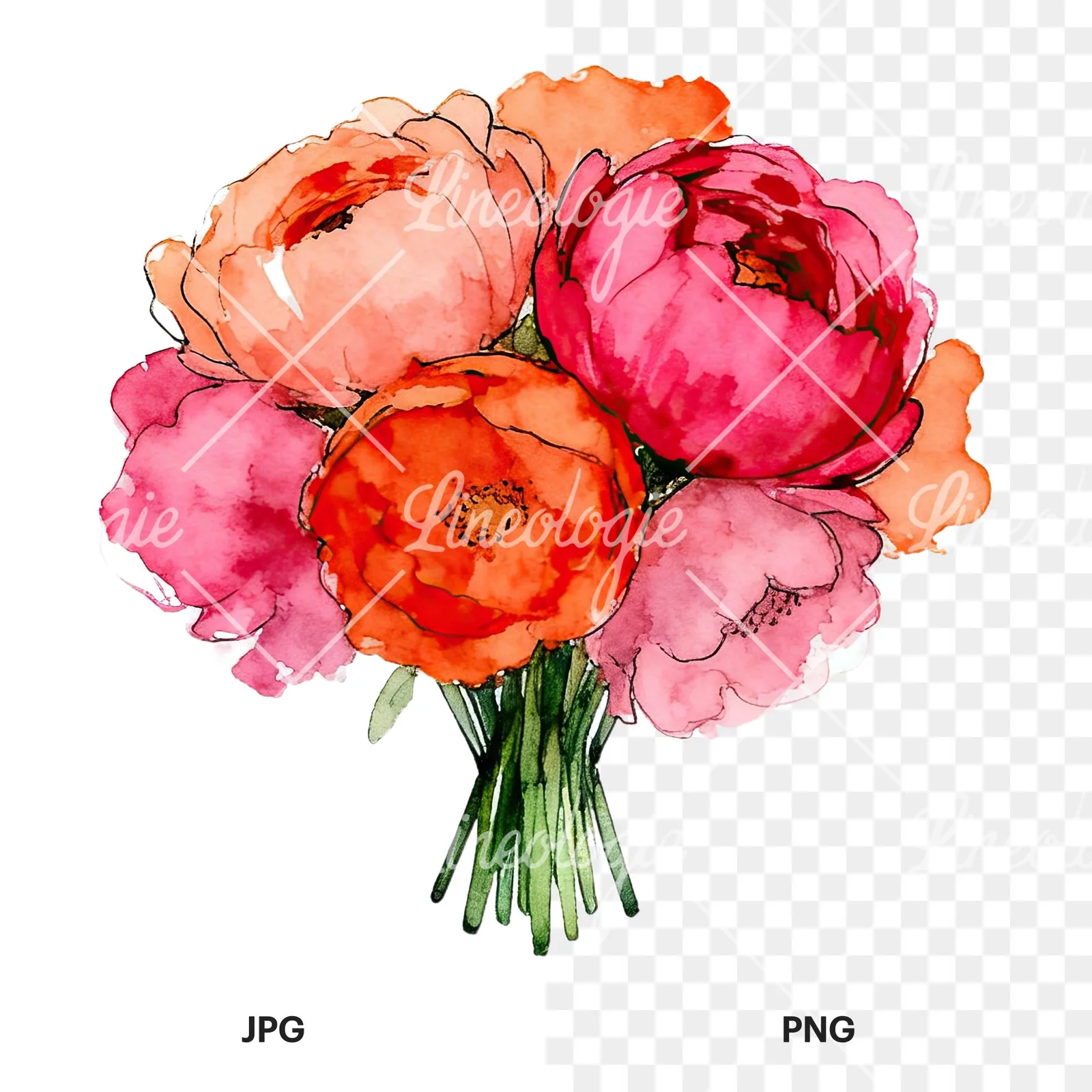 Watercolor hot pink and orange wedding bouquet clipart 1 of 12, as a JPG on white and a transparent PNG
