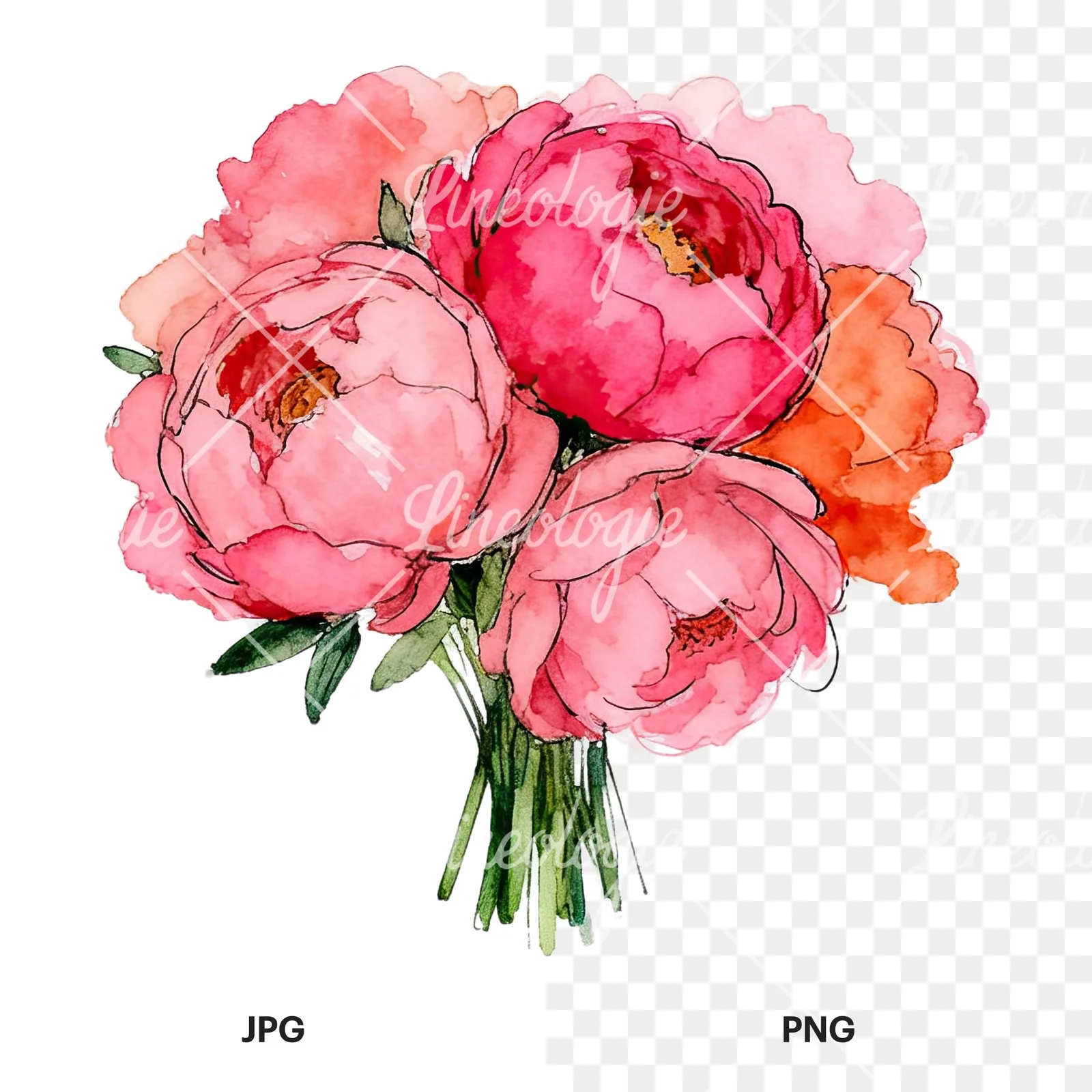 Watercolor hot pink and orange wedding bouquet clipart 2 of 12, as a JPG on white and a transparent PNG