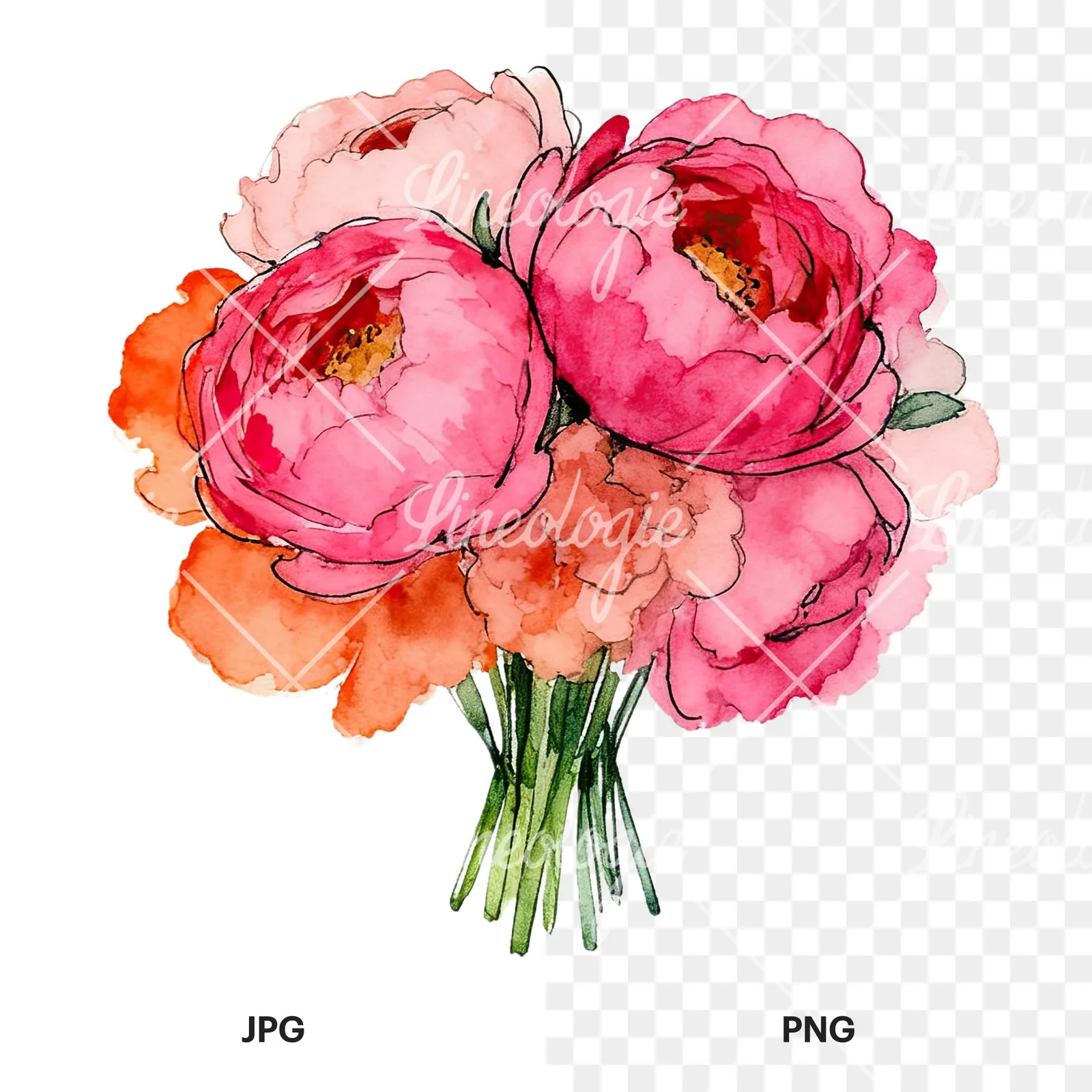 Watercolor hot pink and orange wedding bouquet clipart 3 of 12, as a JPG on white and a transparent PNG