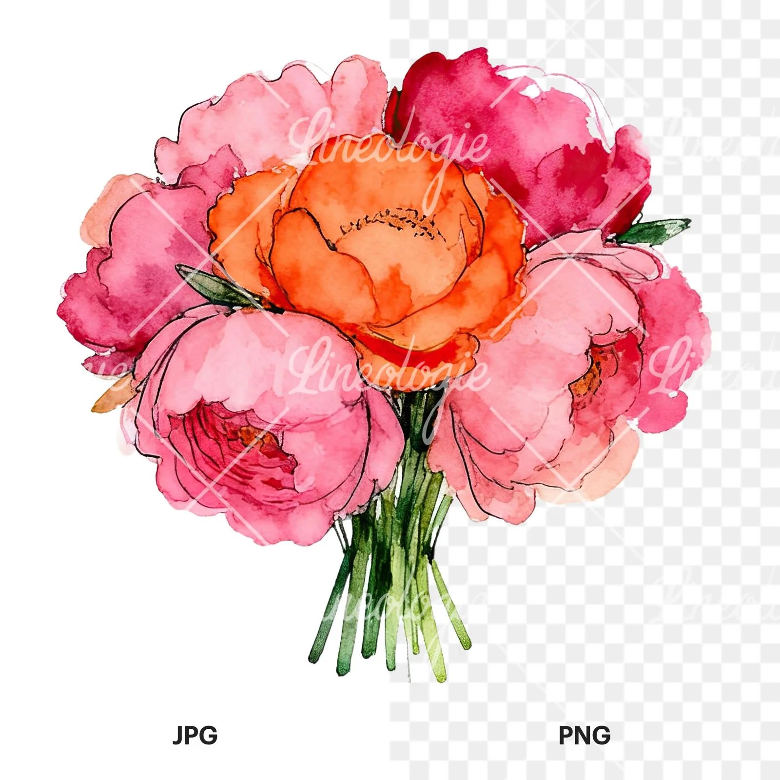 Watercolor hot pink and orange wedding bouquet clipart 4 of 12, as a JPG on white and a transparent PNG