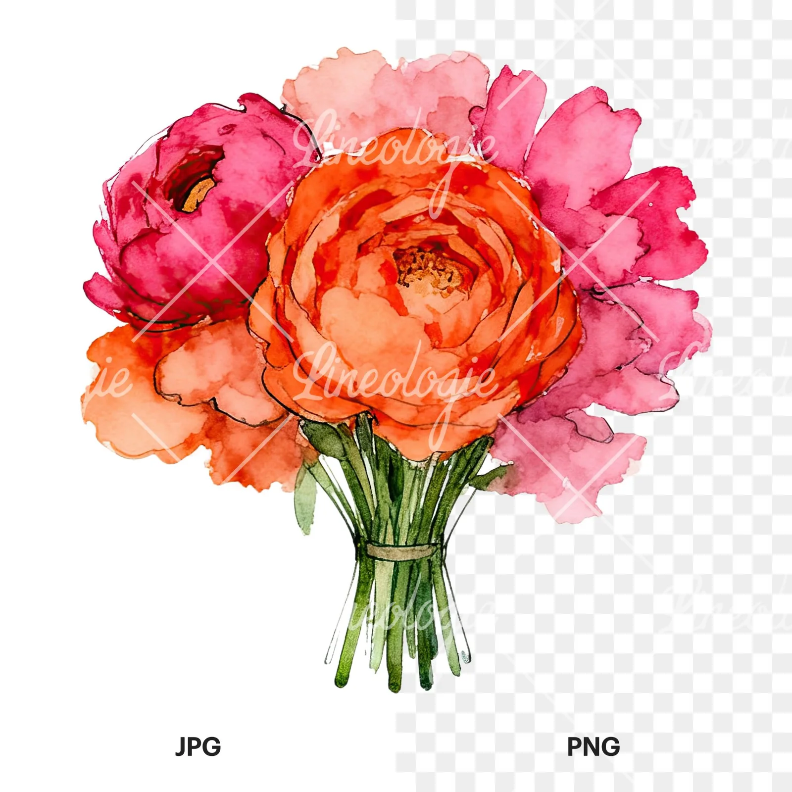 Watercolor hot pink and orange wedding bouquet clipart 5 of 12, as a JPG on white and a transparent PNG