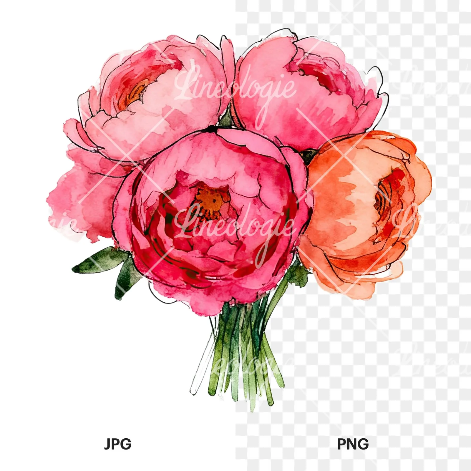 Watercolor hot pink and orange wedding bouquet clipart 6 of 12, as a JPG on white and a transparent PNG