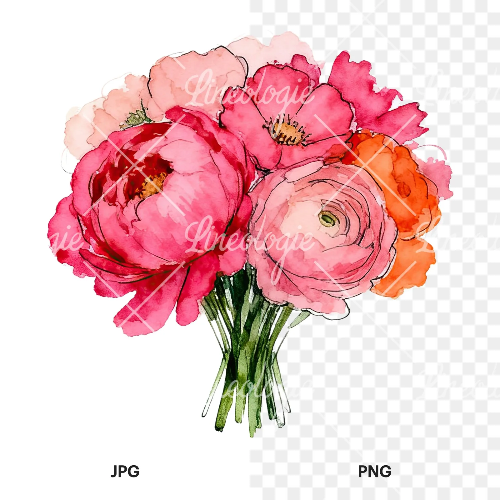 Watercolor hot pink and orange wedding bouquet clipart 8 of 12, as a JPG on white and a transparent PNG