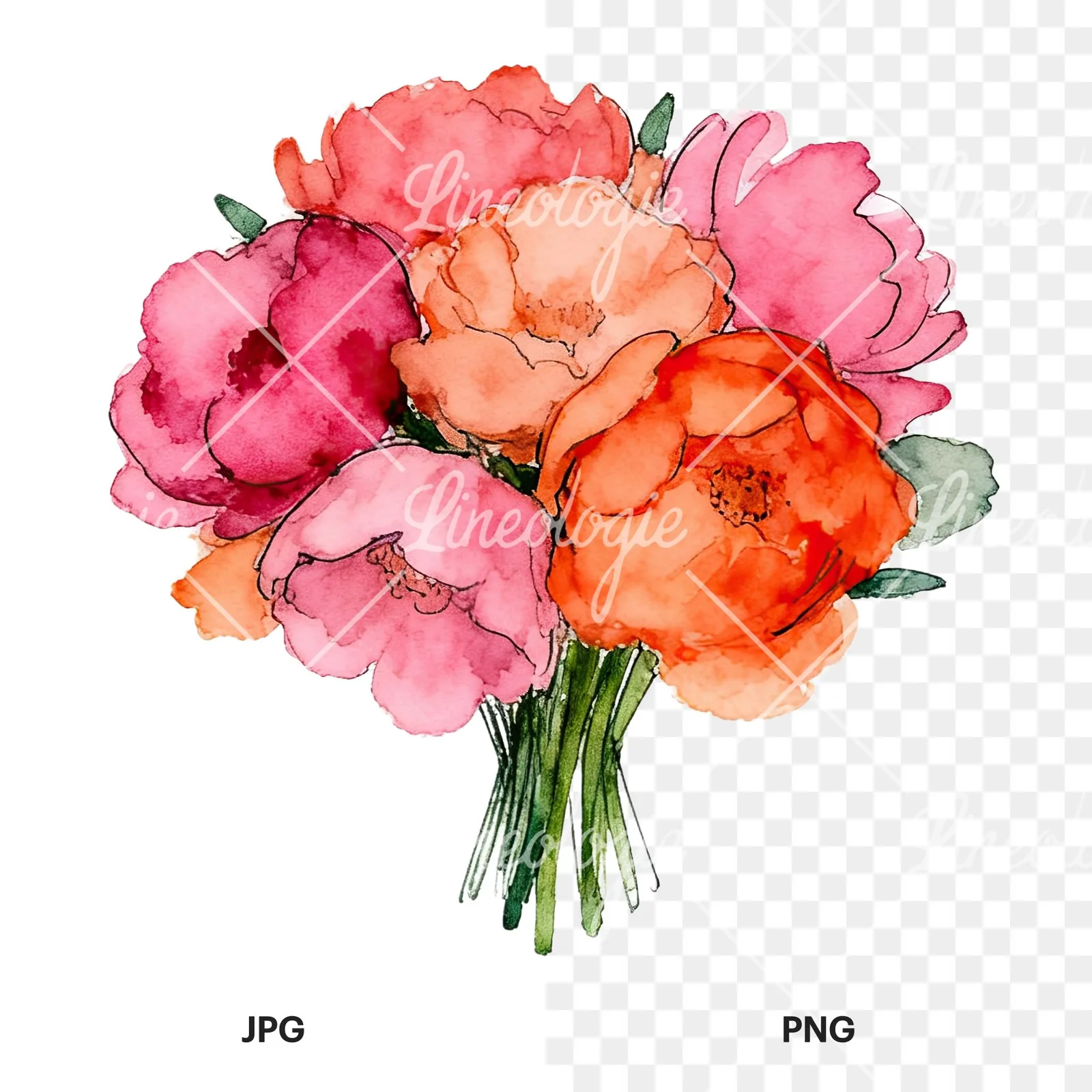 Watercolor hot pink and orange wedding bouquet clipart 9 of 12, as a JPG on white and a transparent PNG