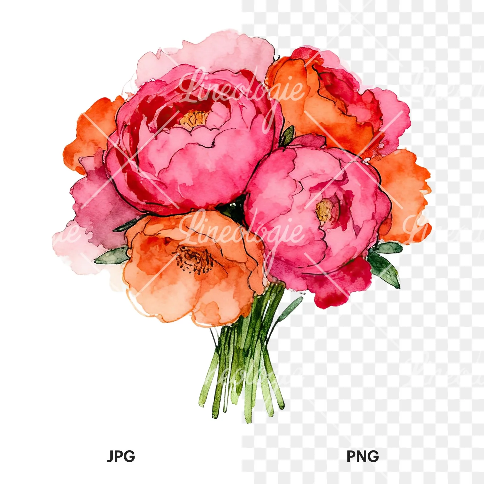 Watercolor hot pink and orange wedding bouquet clipart 11 of 12, as a JPG on white and a transparent PNG