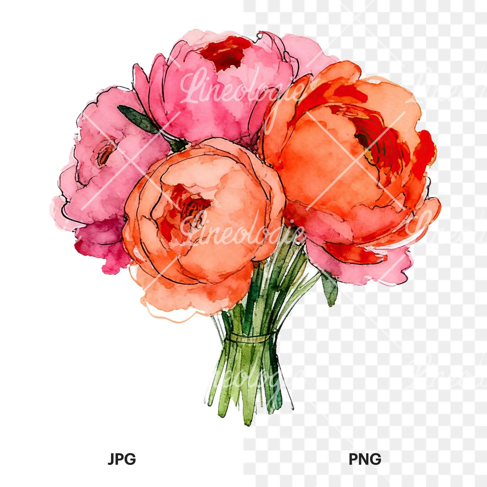 Watercolor hot pink and orange wedding bouquet clipart 12 of 12, as a JPG on white and a transparent PNG