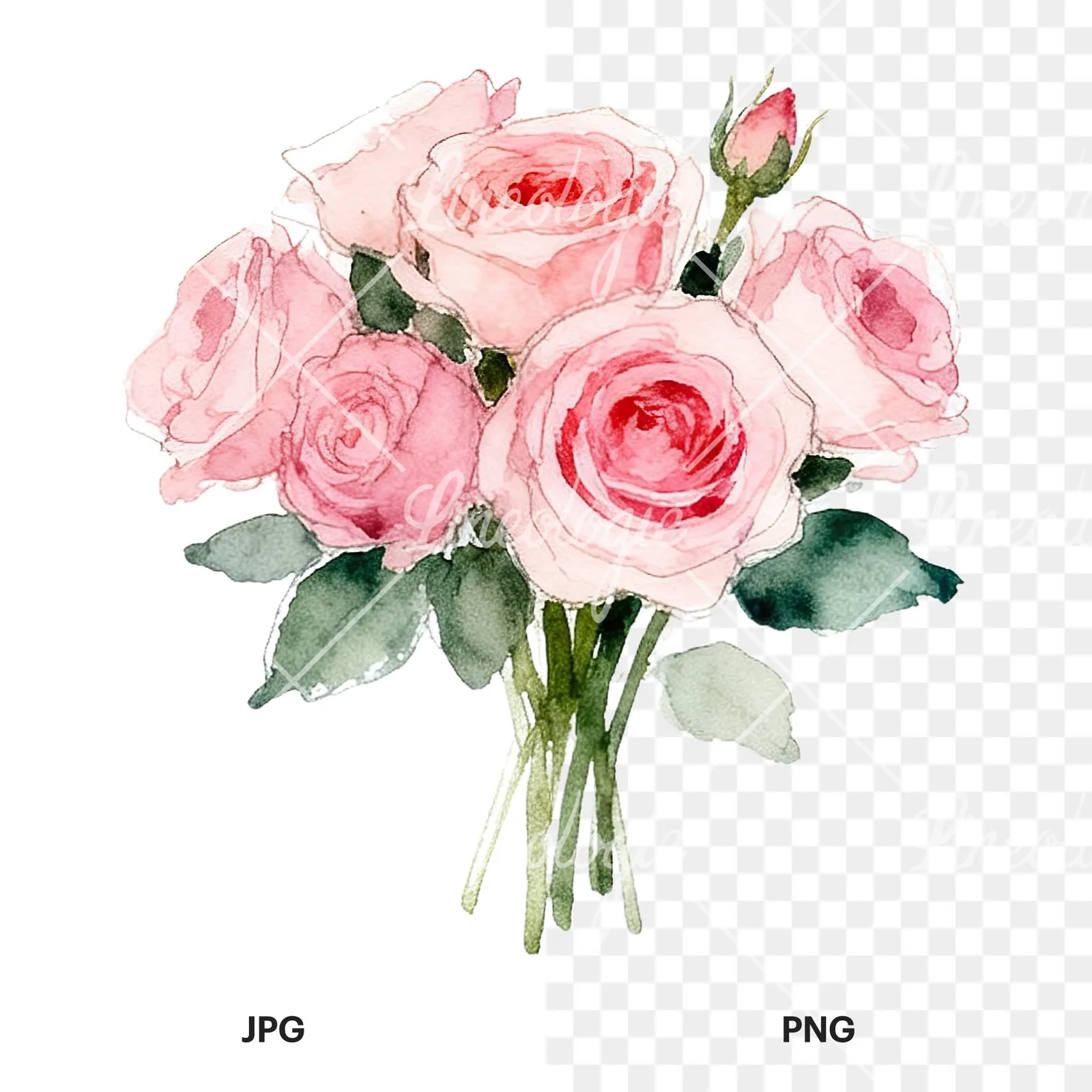 Watercolor pink rose bouquet with greenery clipart 3 of 12, as a JPG on white and a transparent PNG