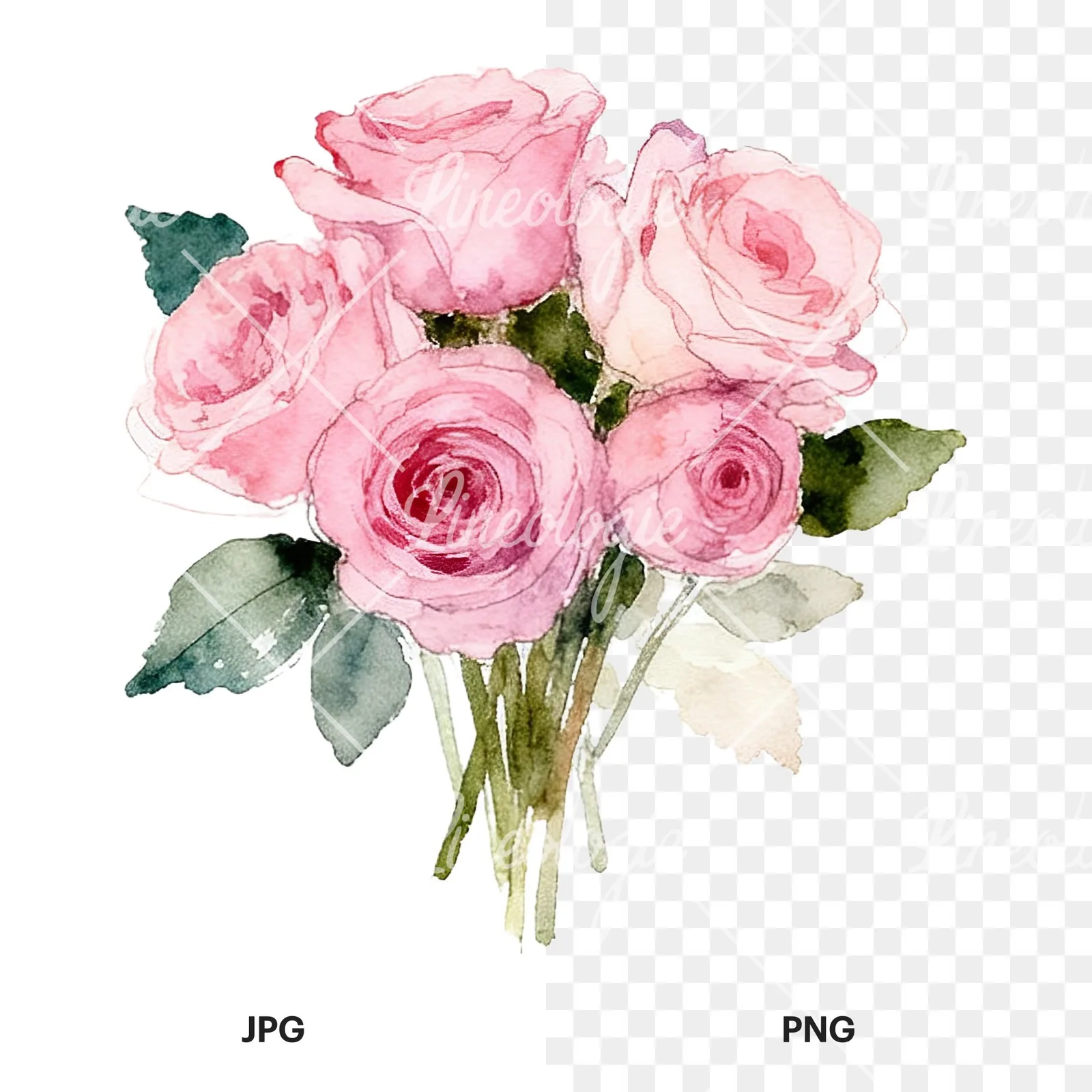 Watercolor pink rose bouquet with greenery clipart 9 of 12, as a JPG on white and a transparent PNG