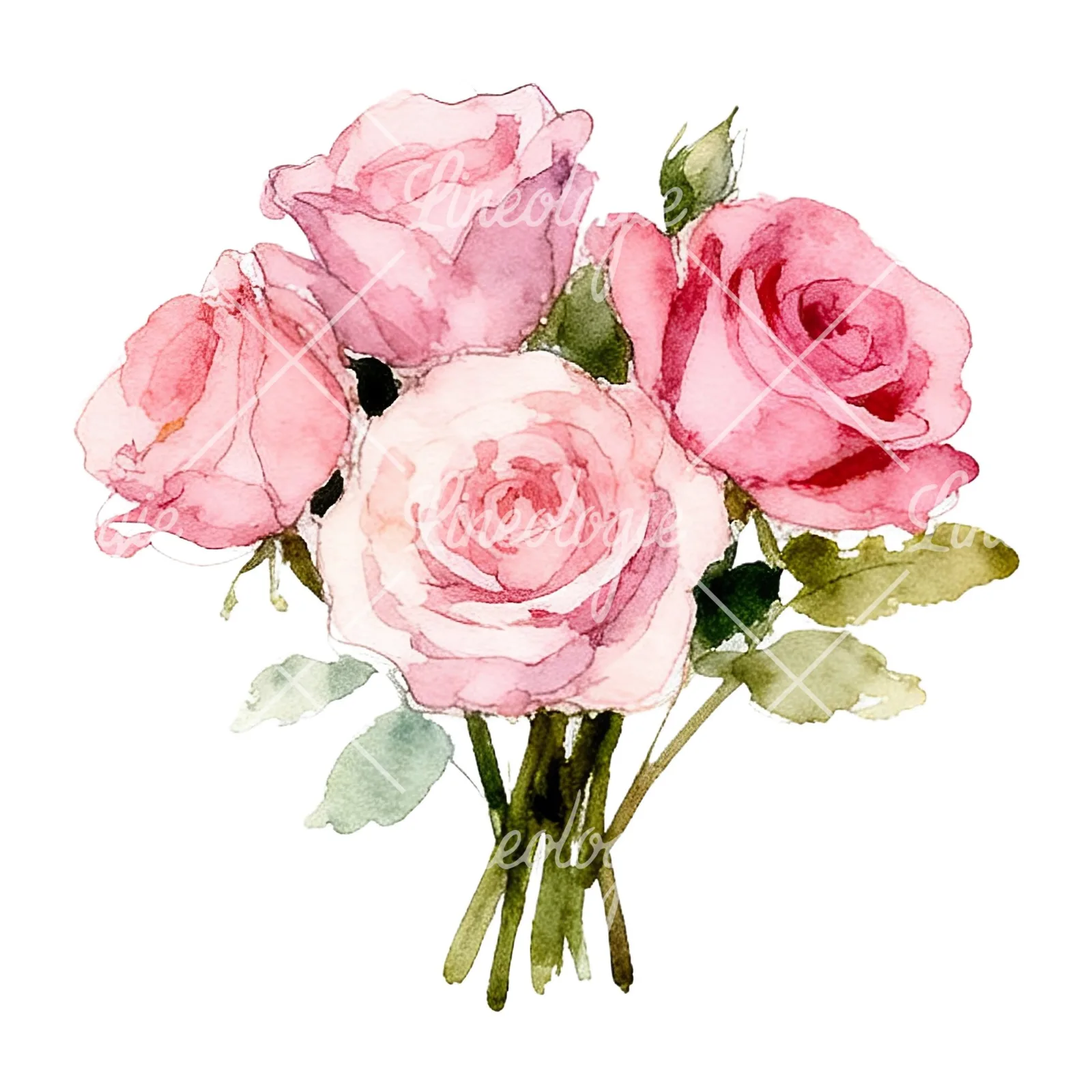 Watercolor pink rose bouquet with greenery clipart 11 of 12 on a white background (JPG)