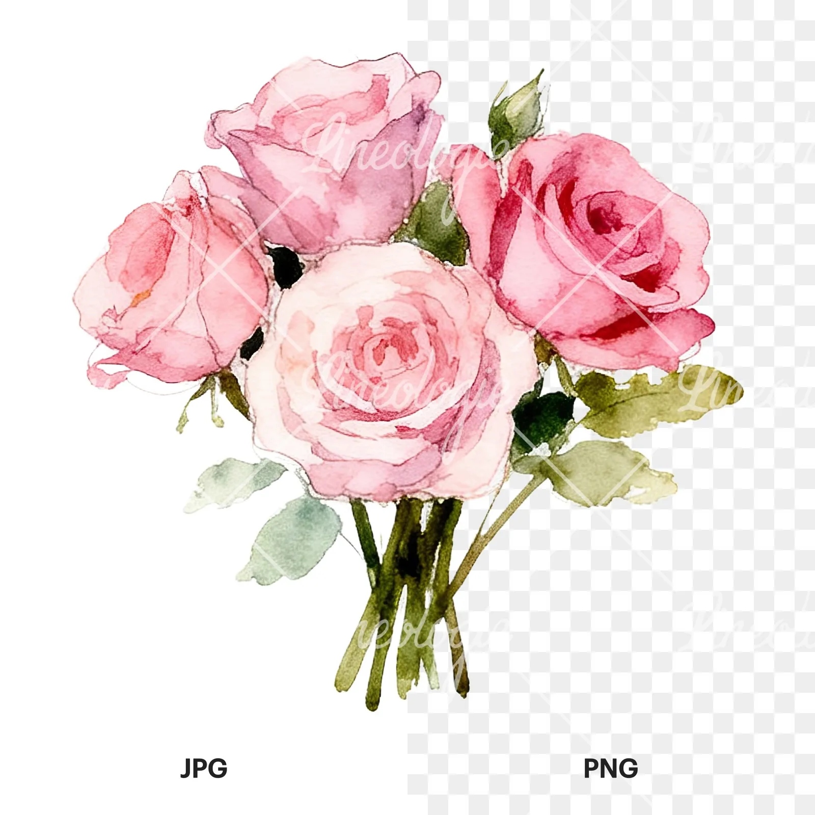 Watercolor pink rose bouquet with greenery clipart 11 of 12, as a JPG on white and a transparent PNG