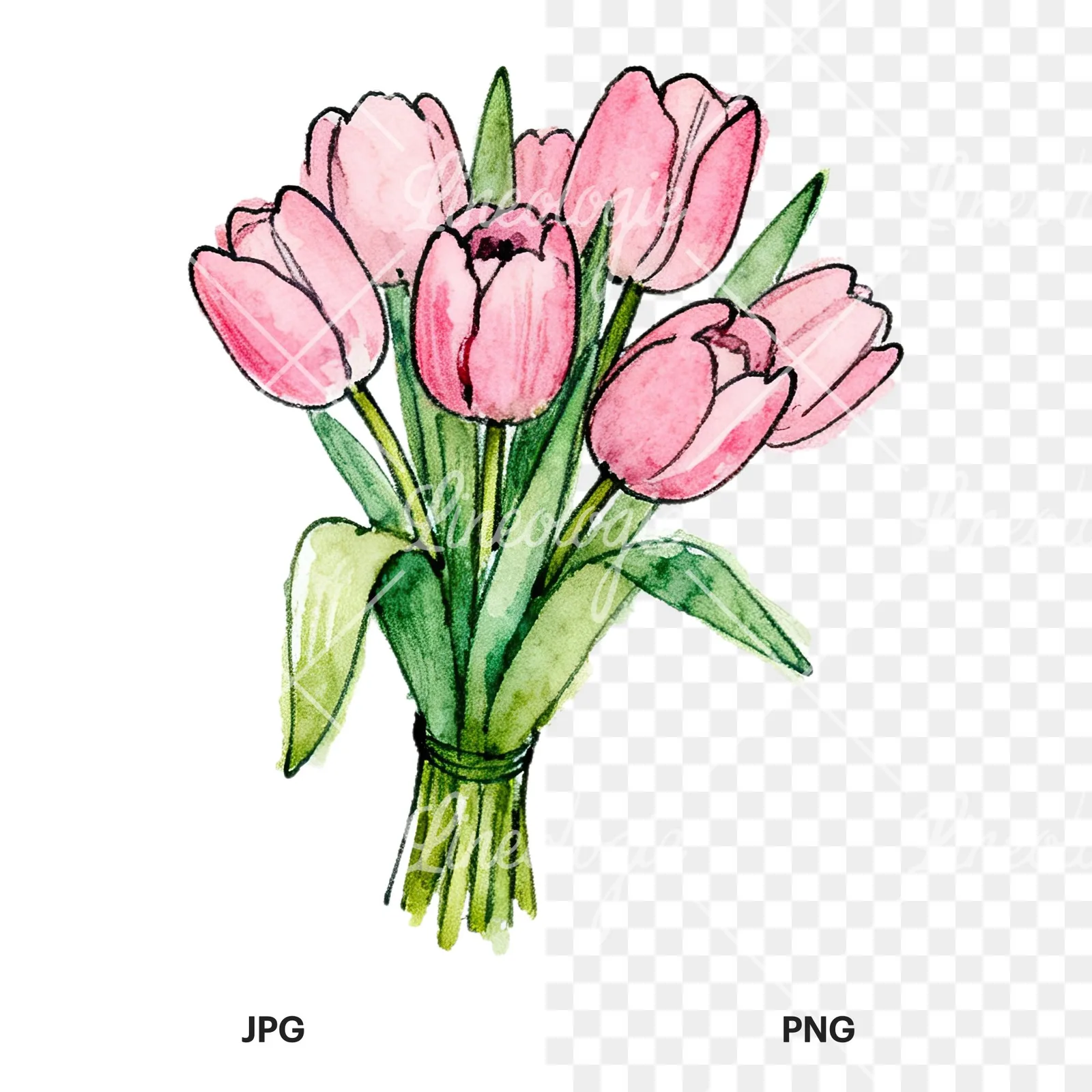 Watercolor pink tulip bouquet with open flowers clipart 2 of 12, as a JPG on white and a transparent PNG
