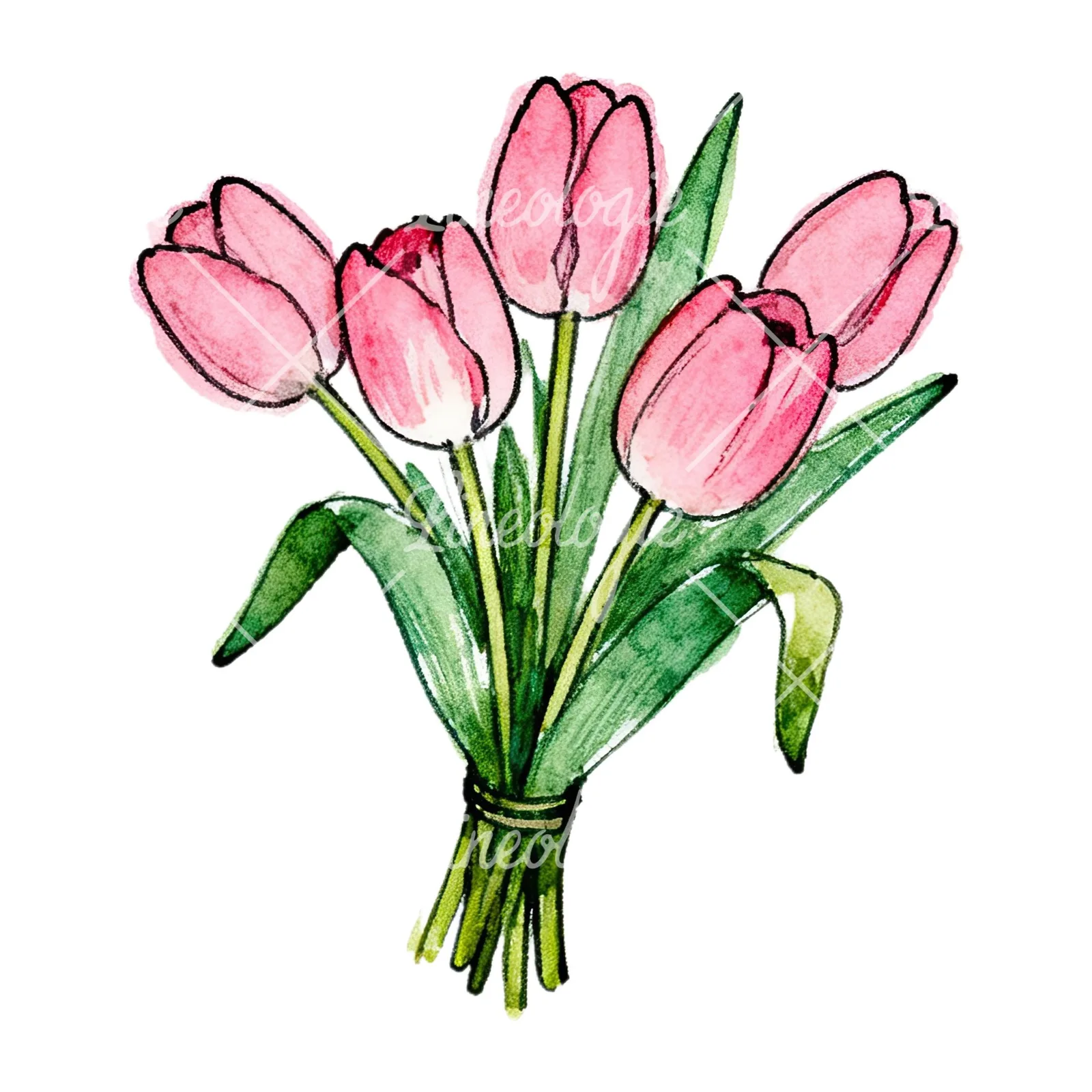 Watercolor pink tulip bouquet with open flowers clipart 3 of 12 on a white background (JPG)