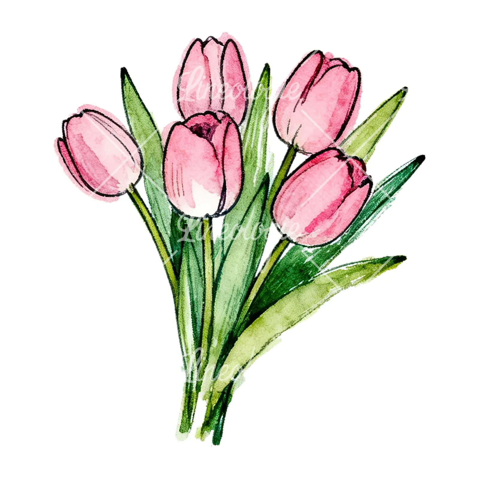 Watercolor pink tulip bouquet with open flowers clipart 6 of 12 on a white background (JPG)