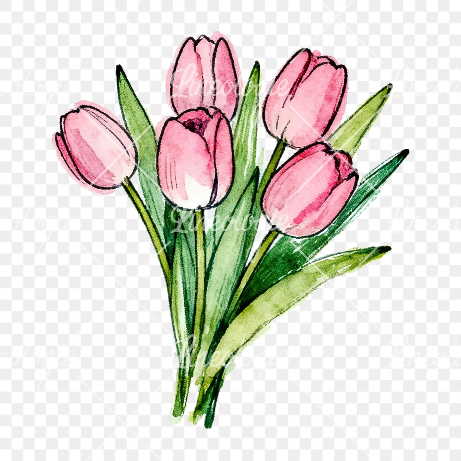 Watercolor pink tulip bouquet with open flowers clipart 6 of 12 on a transparent background (PNG)