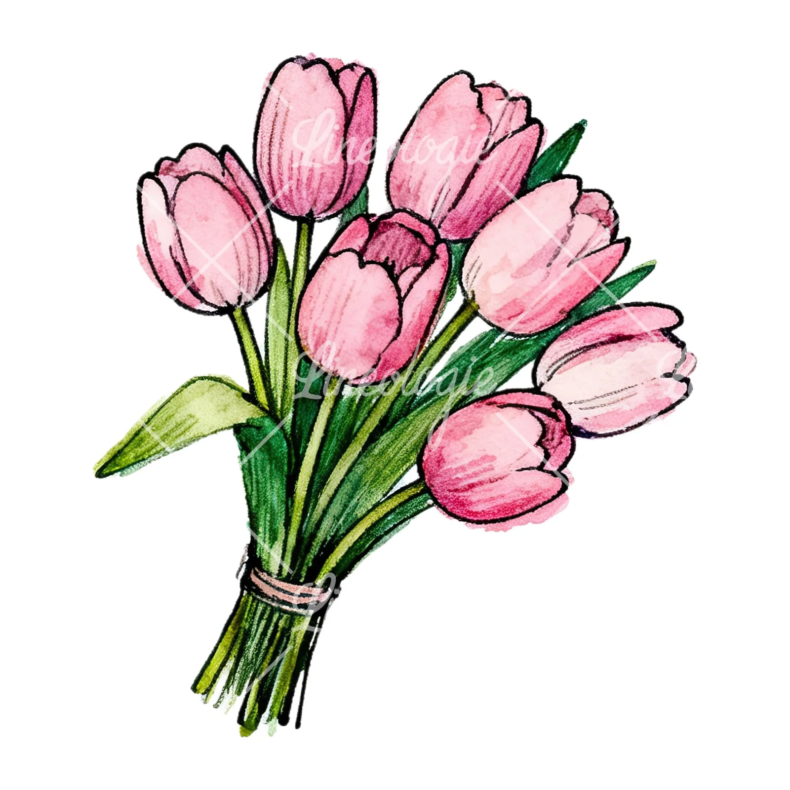 Watercolor pink tulip bouquet with open flowers clipart 8 of 12 on a white background (JPG)