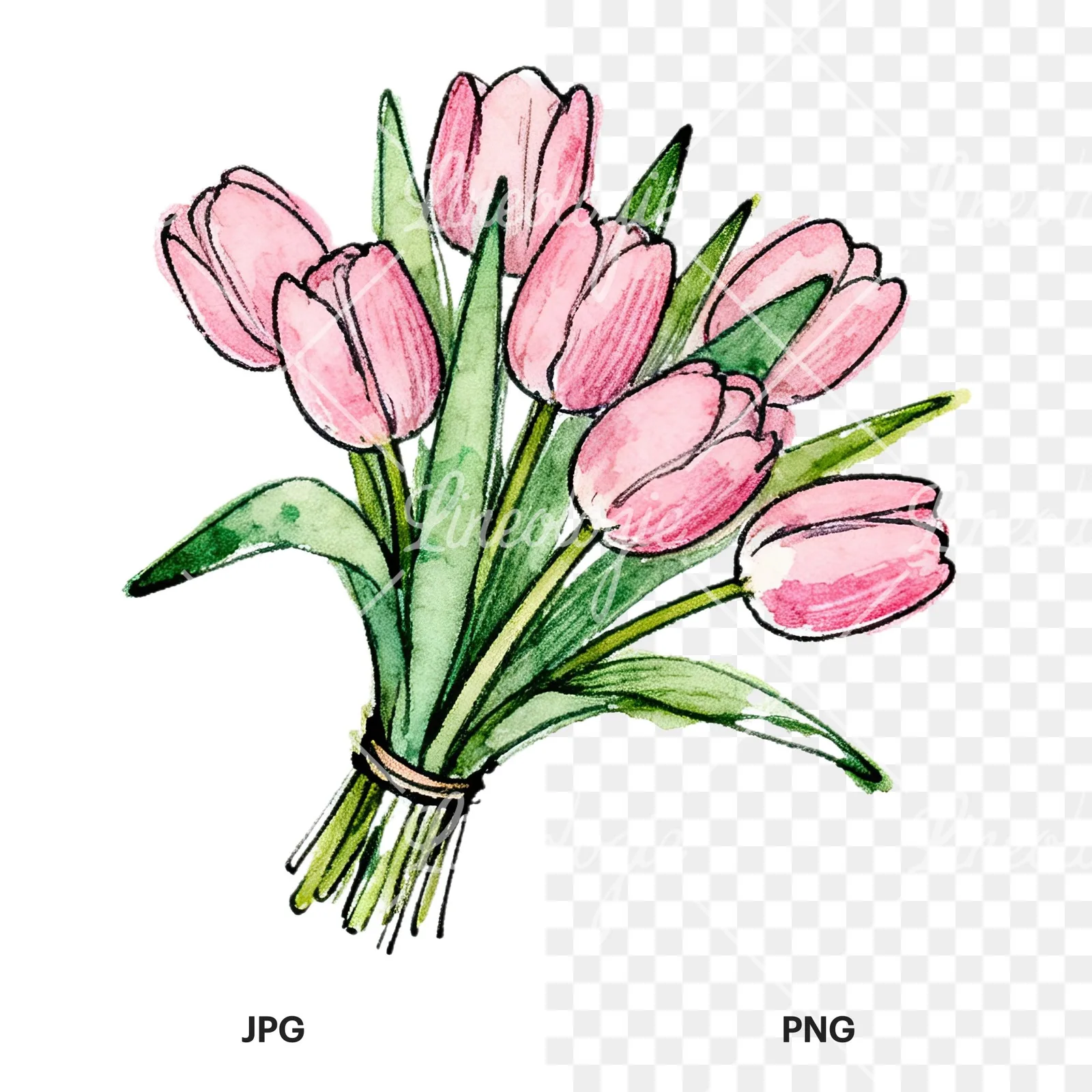 Watercolor pink tulip bouquet with open flowers clipart 10 of 12, as a JPG on white and a transparent PNG