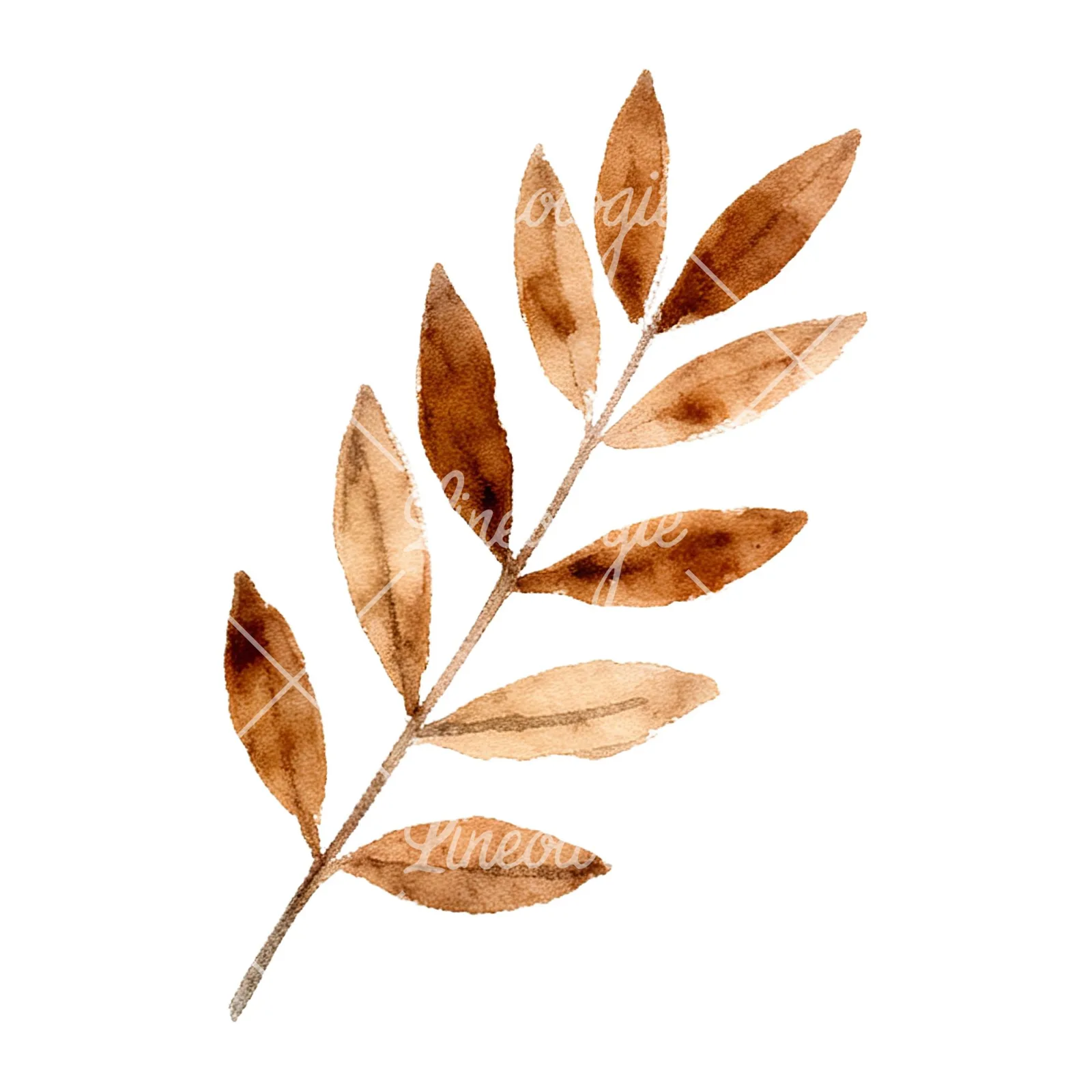 Watercolor autumn leaf with ginkgo clipart 12 of 12 on a white background (JPG)
