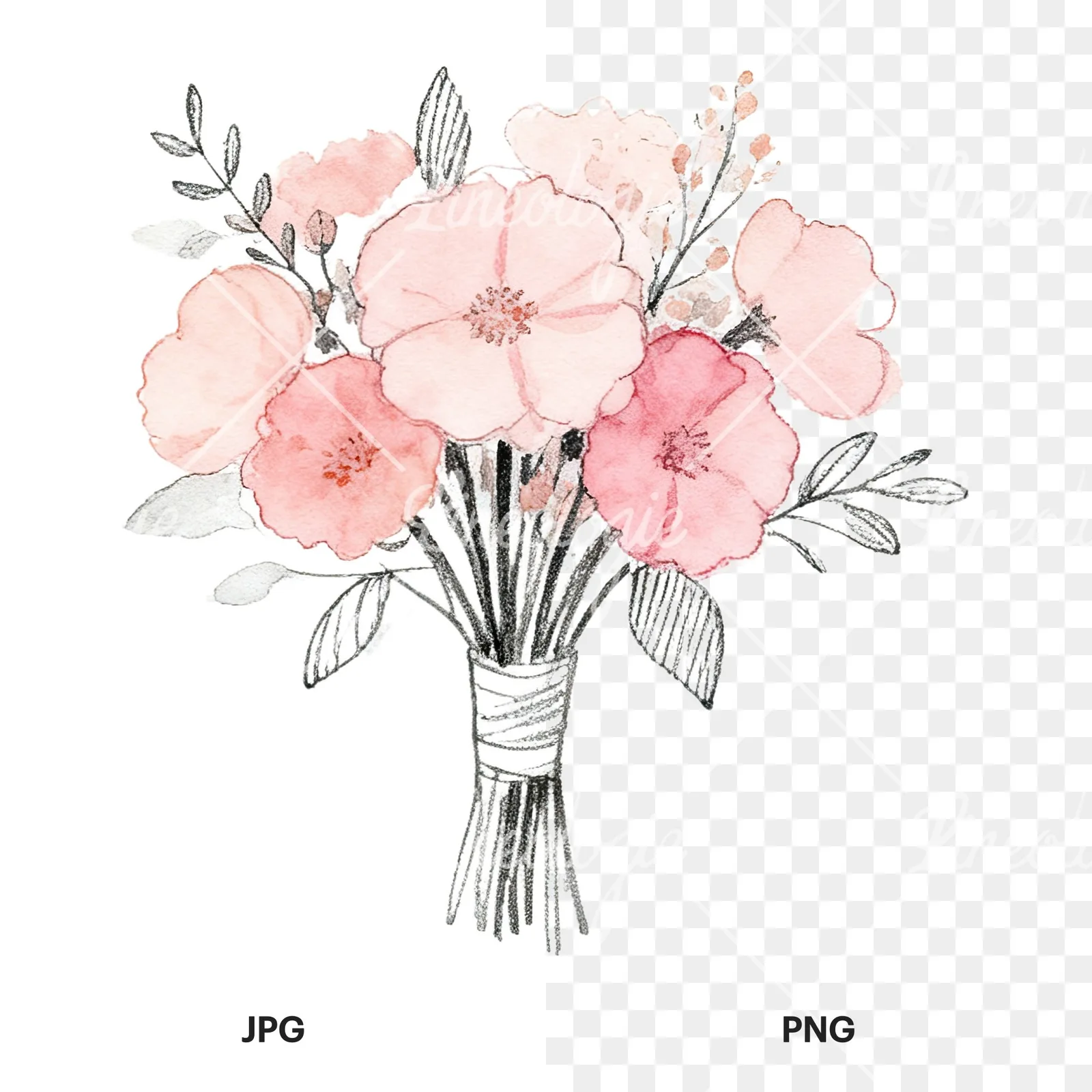 Watercolor blush pink peach wedding bouquet clipart 2 of 12, as a JPG on white and a transparent PNG