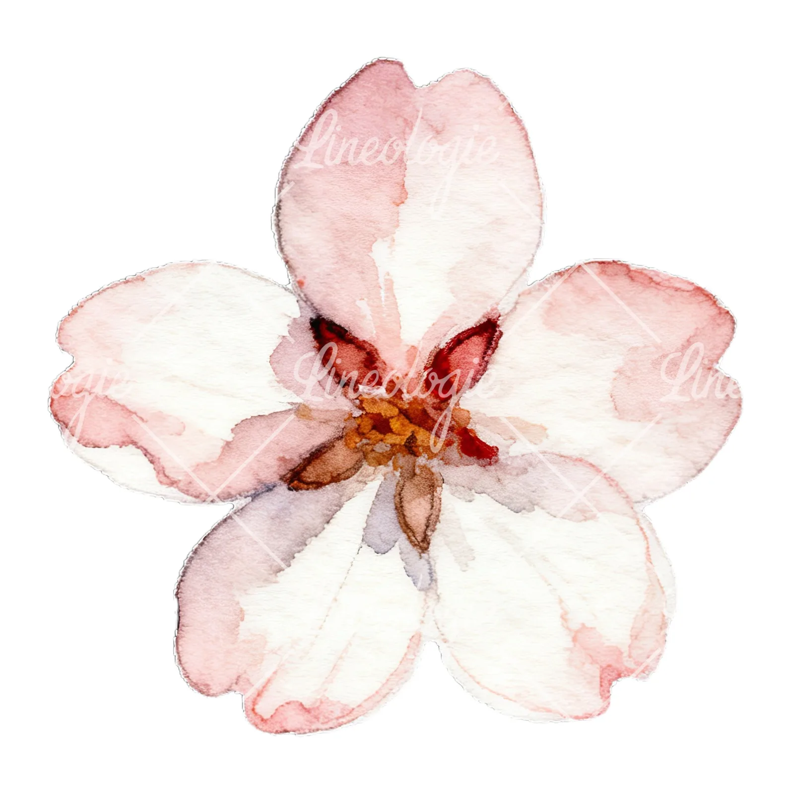 Watercolor pink and purple cherry blossom clipart 4 of 12 on a white background (JPG)