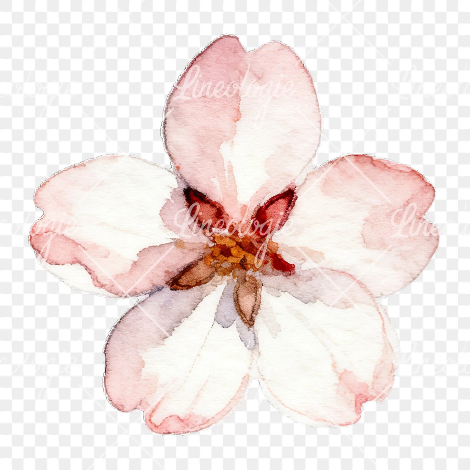 Watercolor pink and purple cherry blossom clipart 4 of 12 on a transparent background (PNG)