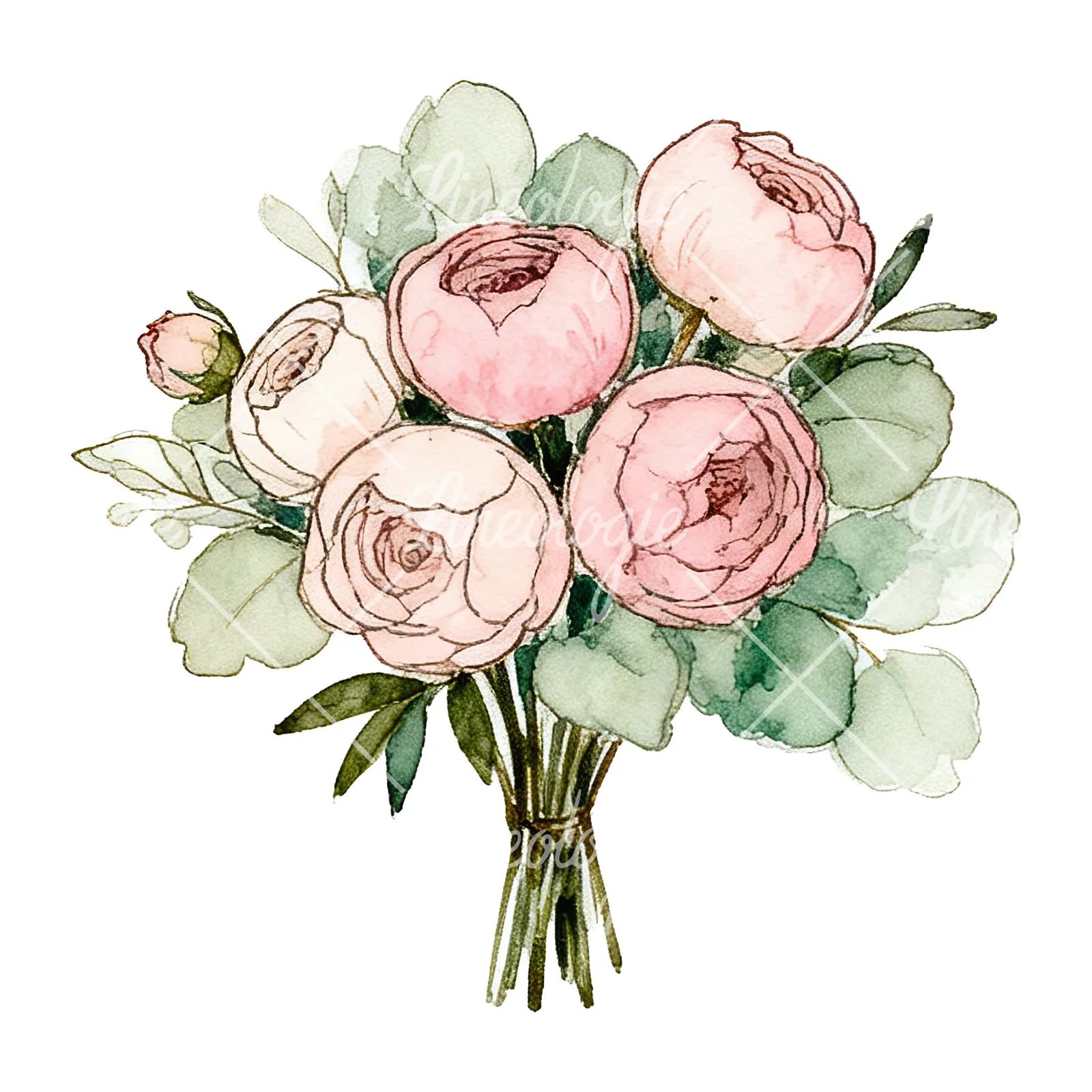 Watercolor pink peony sage wedding bouquet clipart 2 of 12 on a white background (JPG)