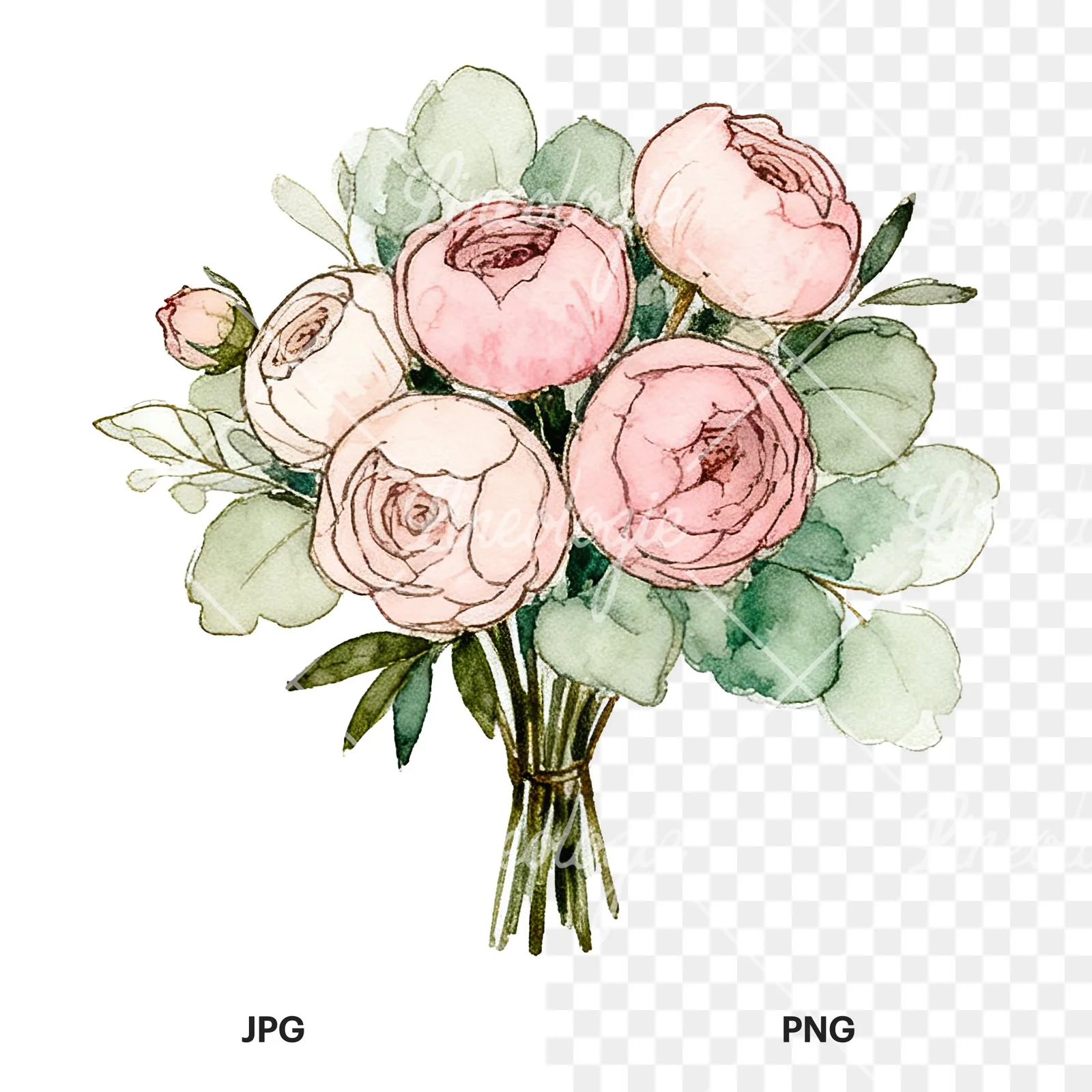 Watercolor pink peony sage wedding bouquet clipart 2 of 12, as a JPG on white and a transparent PNG