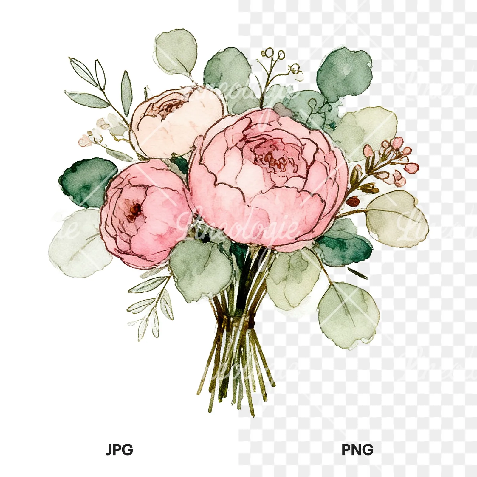 Watercolor pink peony sage wedding bouquet clipart 4 of 12, as a JPG on white and a transparent PNG
