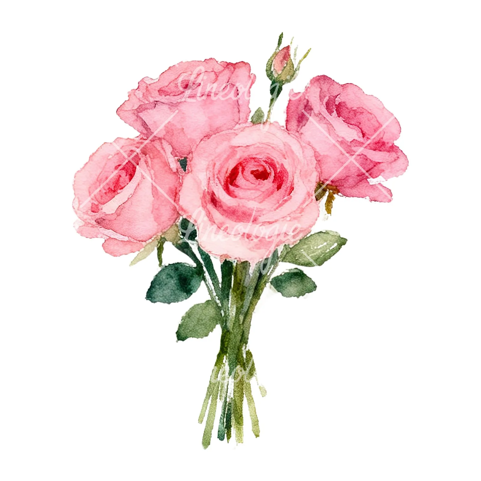 Watercolor pink rose bouquet with buds clipart 2 of 12 on a white background (JPG)
