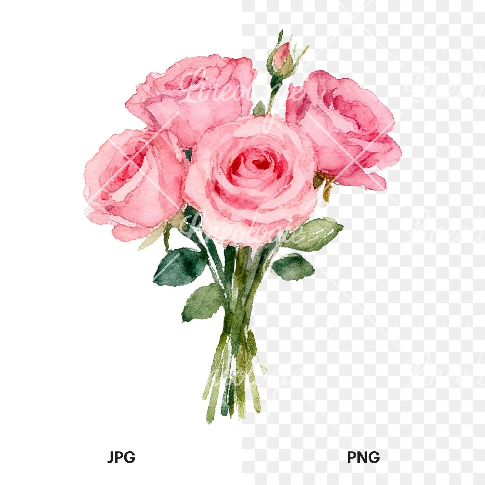 Watercolor pink rose bouquet with buds clipart 2 of 12, as a JPG on white and a transparent PNG