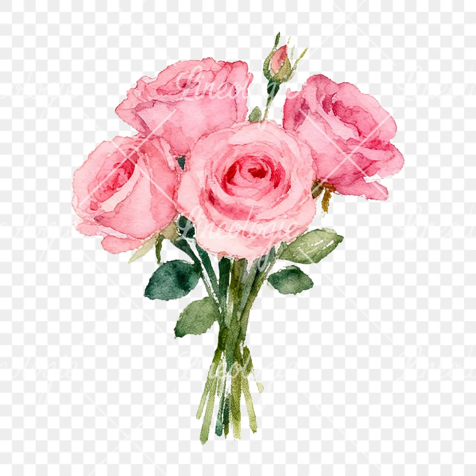 Watercolor pink rose bouquet with buds clipart 2 of 12 on a transparent background (PNG)
