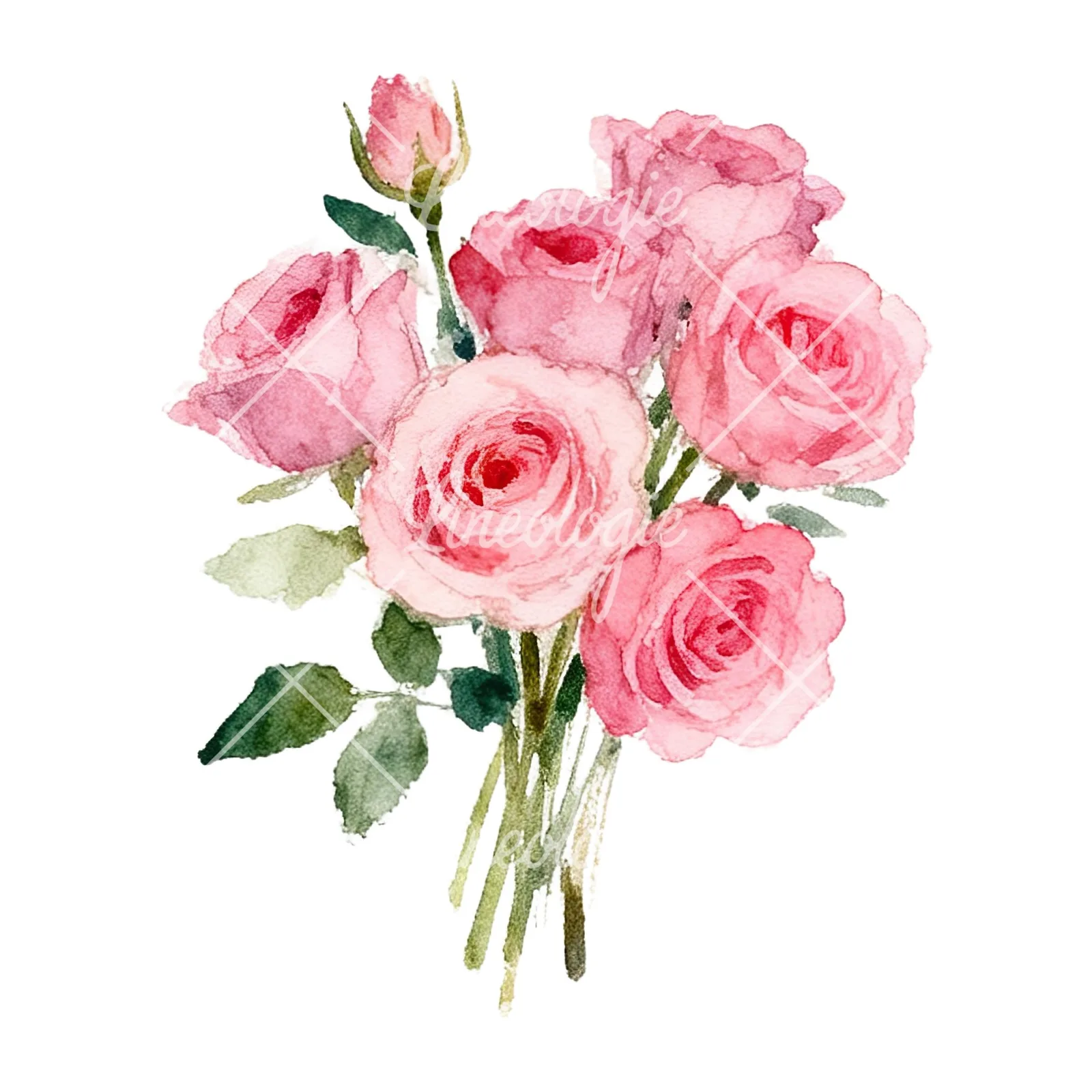 Watercolor pink rose bouquet with buds clipart 4 of 12 on a white background (JPG)
