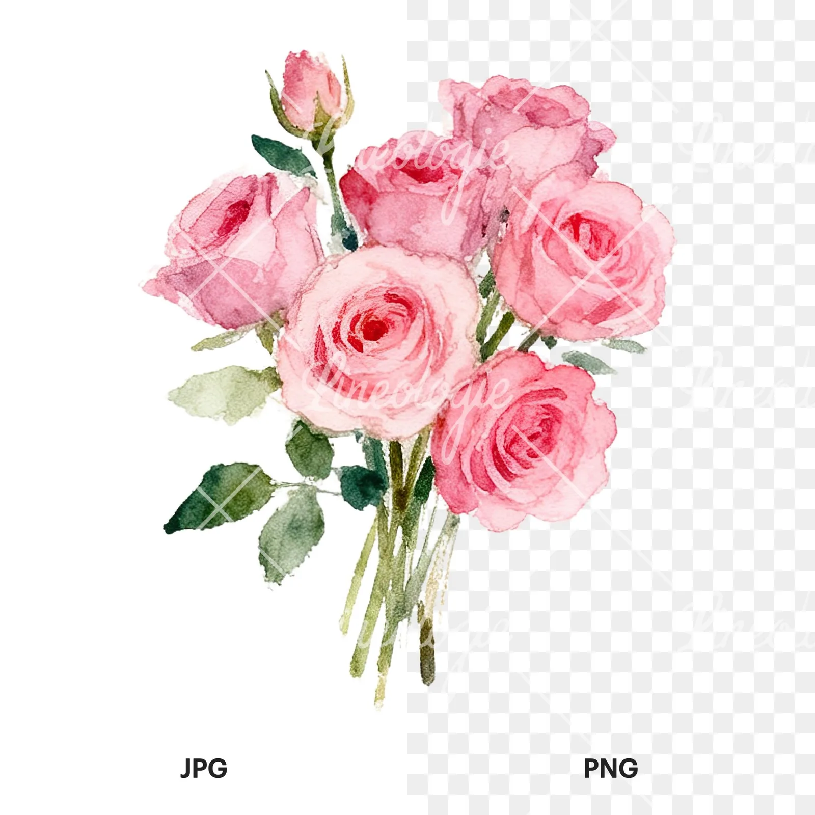 Watercolor pink rose bouquet with buds clipart 4 of 12, as a JPG on white and a transparent PNG
