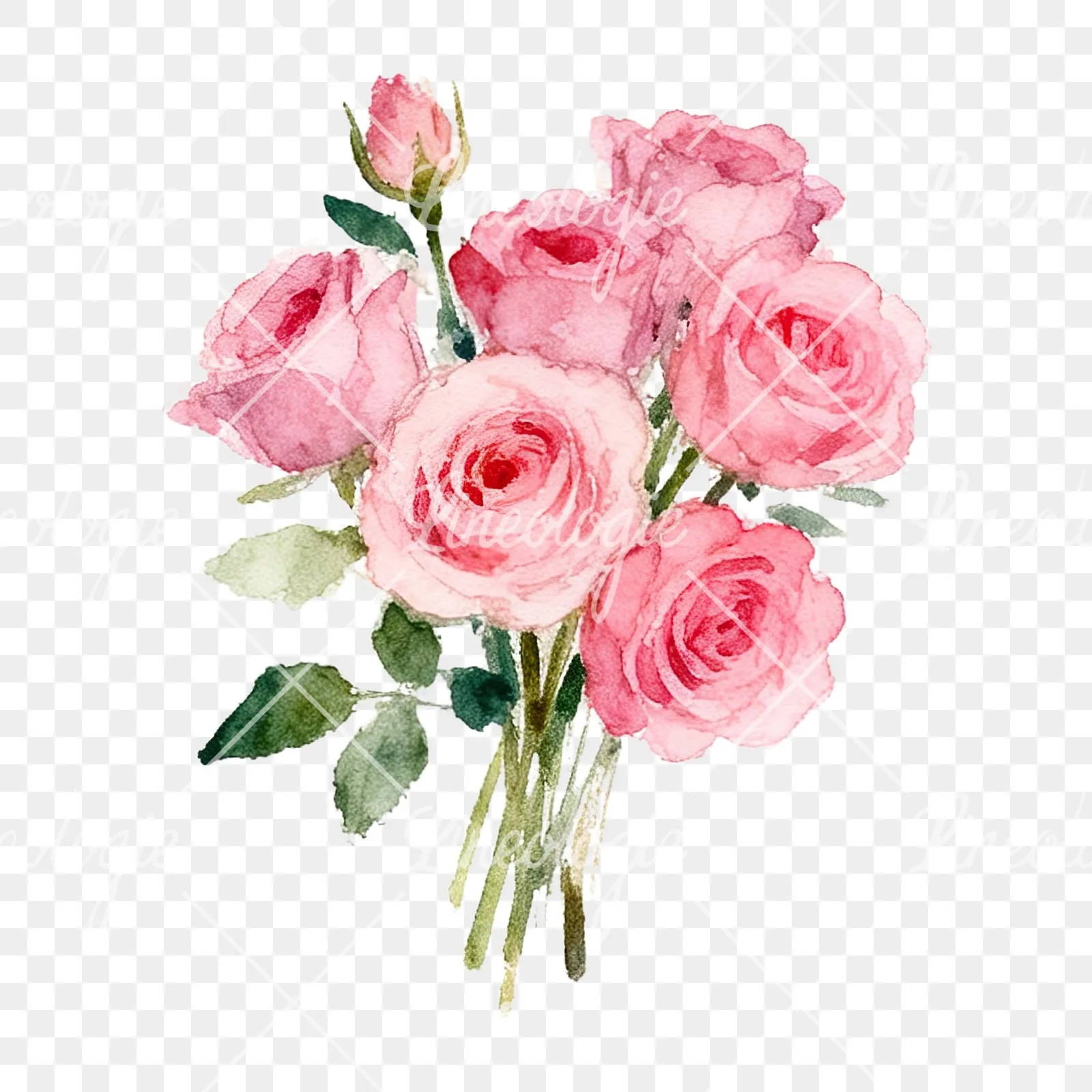 Watercolor pink rose bouquet with buds clipart 4 of 12 on a transparent background (PNG)