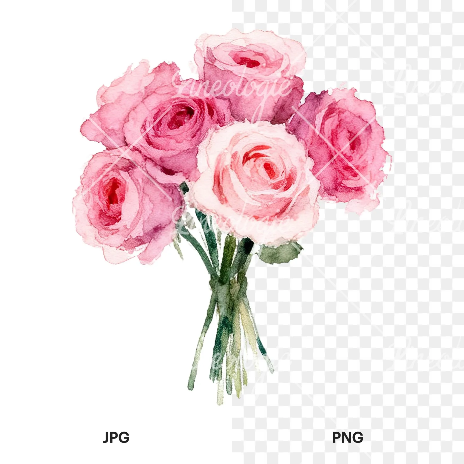 Watercolor pink rose bouquet with buds clipart 5 of 12, as a JPG on white and a transparent PNG