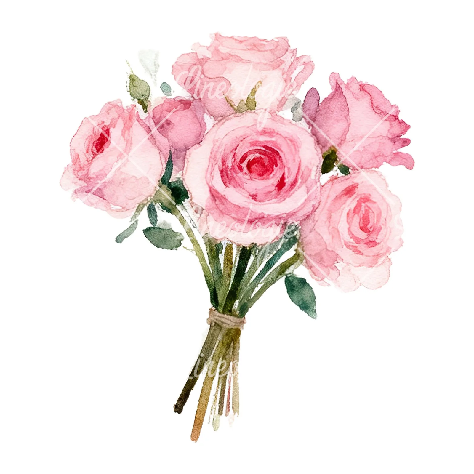 Watercolor pink rose bouquet with buds clipart 7 of 12 on a white background (JPG)