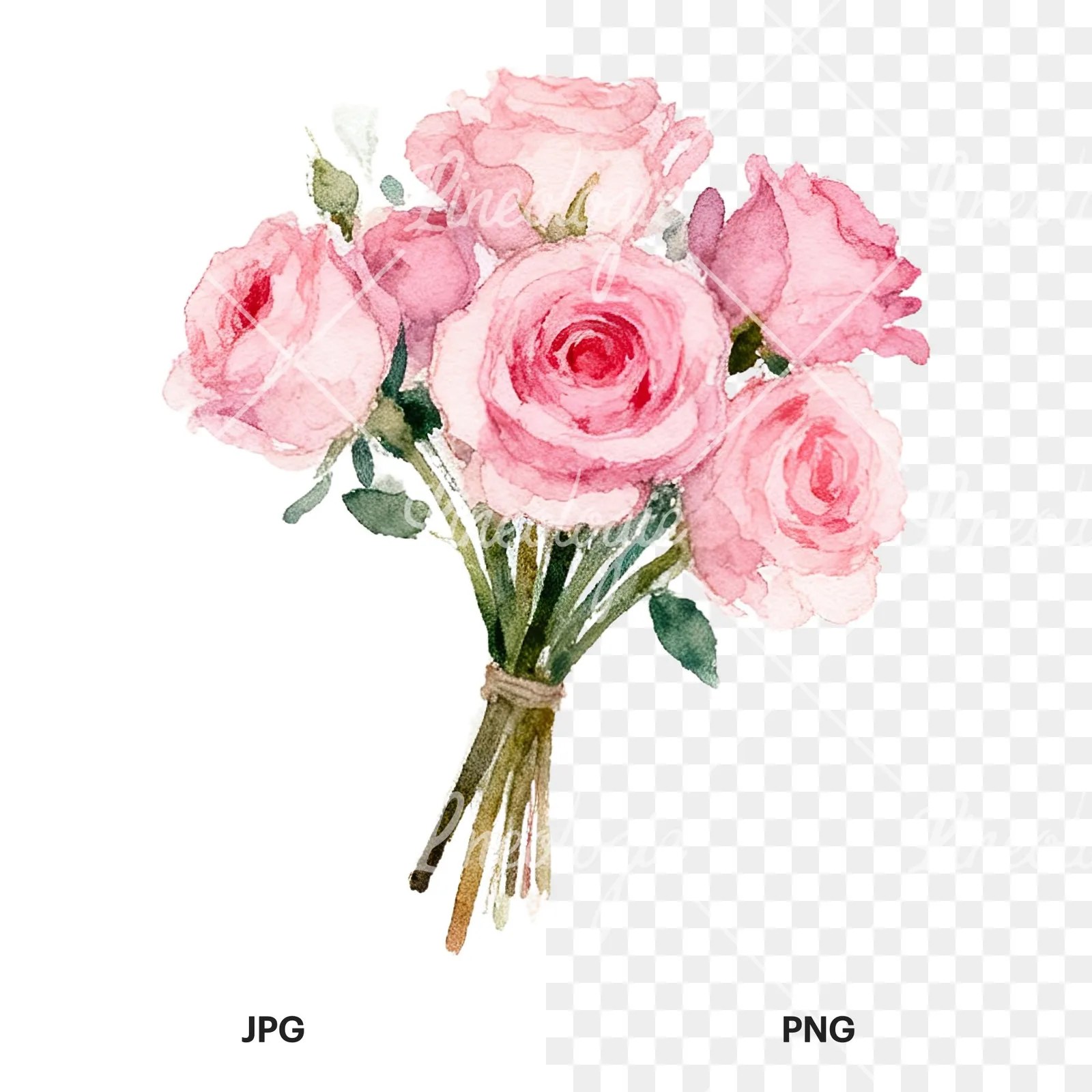 Watercolor pink rose bouquet with buds clipart 7 of 12, as a JPG on white and a transparent PNG