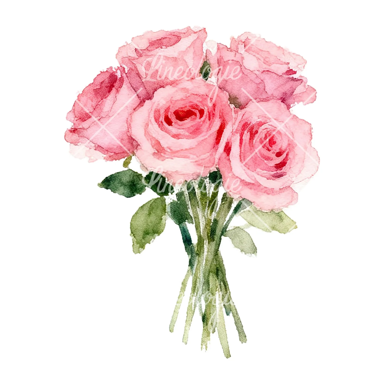 Watercolor pink rose bouquet with buds clipart 8 of 12 on a white background (JPG)