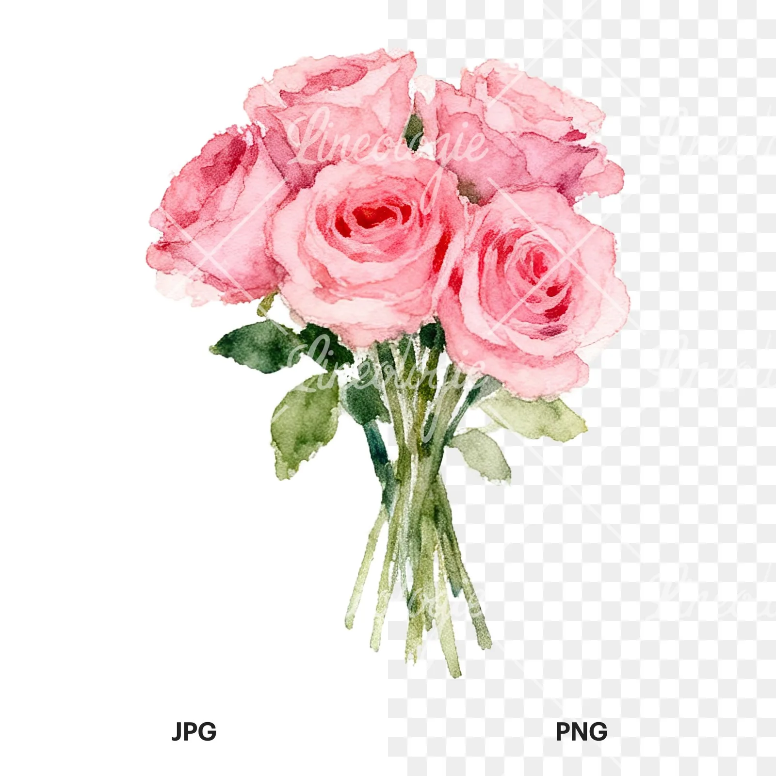 Watercolor pink rose bouquet with buds clipart 8 of 12, as a JPG on white and a transparent PNG