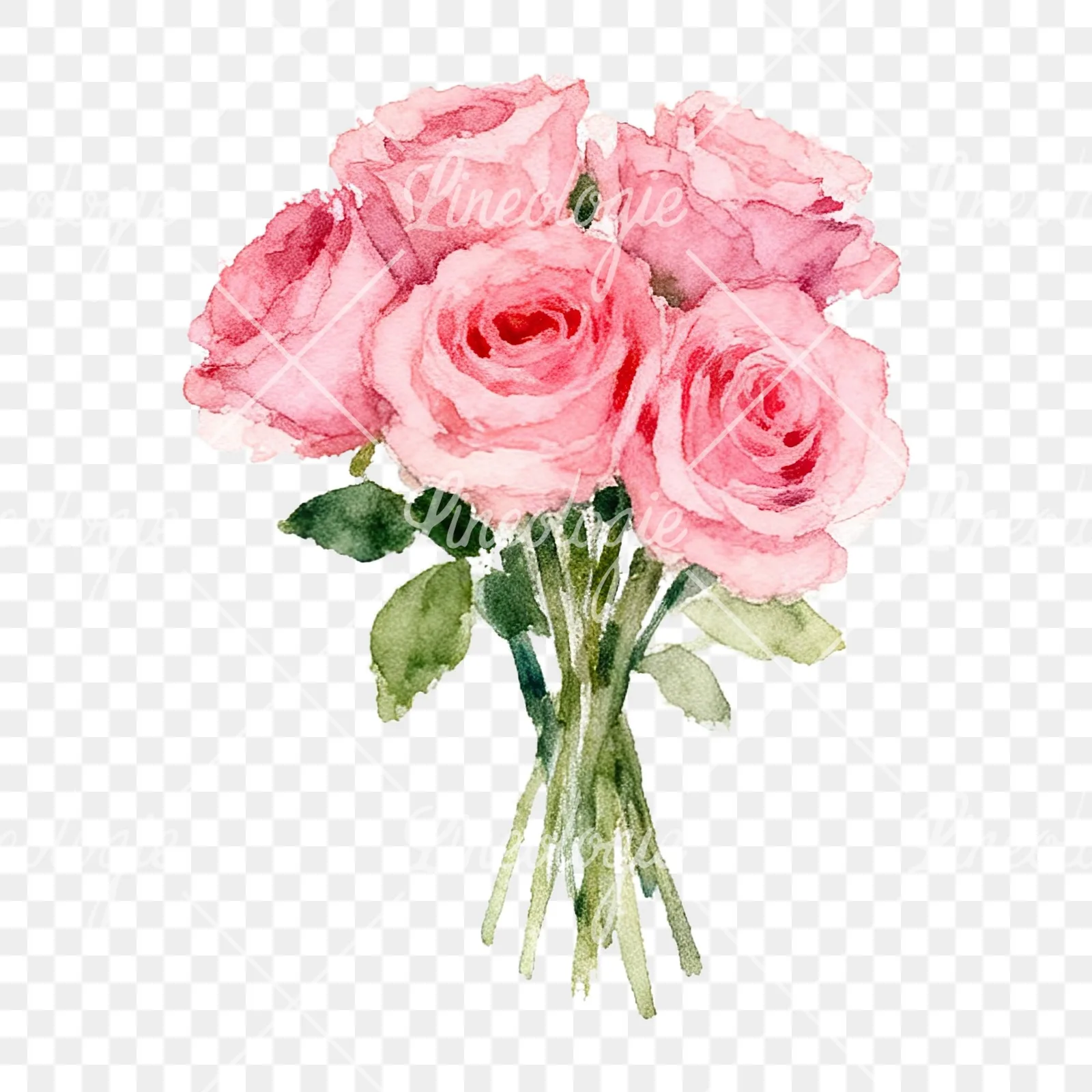 Watercolor pink rose bouquet with buds clipart 8 of 12 on a transparent background (PNG)