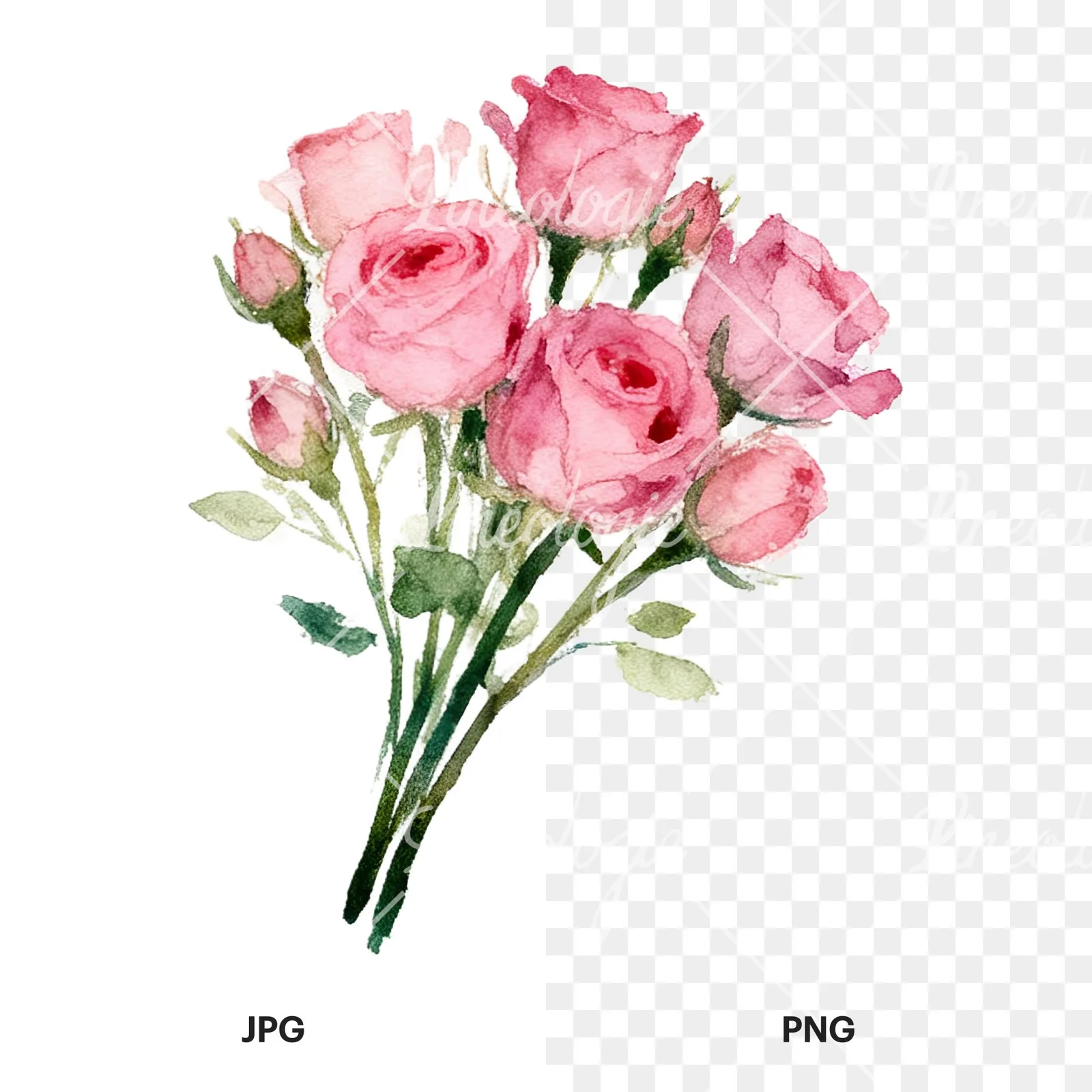 Watercolor pink rose bouquet with buds clipart 9 of 12, as a JPG on white and a transparent PNG