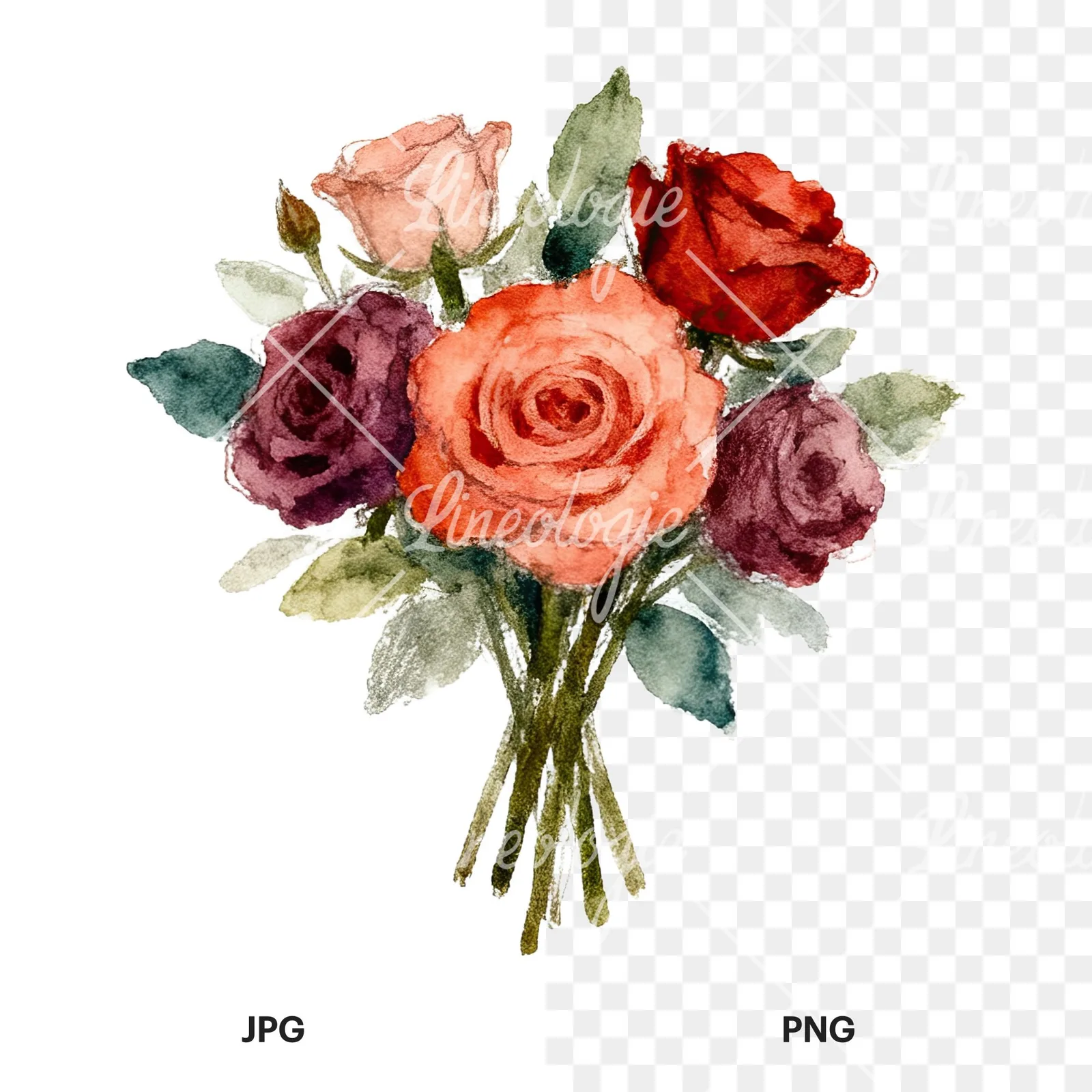 Watercolor rose bouquet with berries clipart 5 of 12, as a JPG on white and a transparent PNG