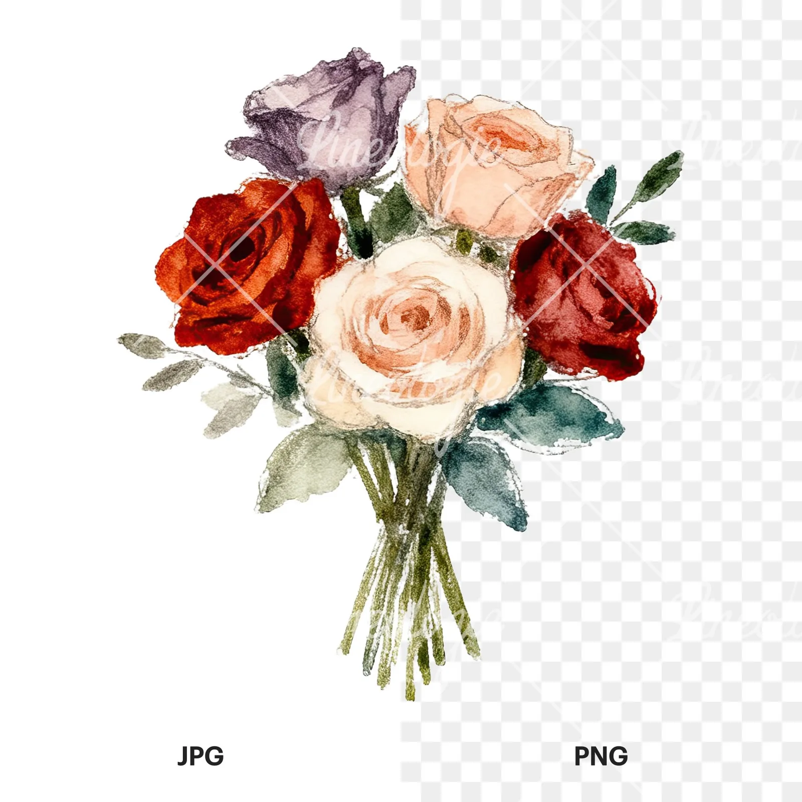 Watercolor rose bouquet with berries clipart 11 of 12, as a JPG on white and a transparent PNG